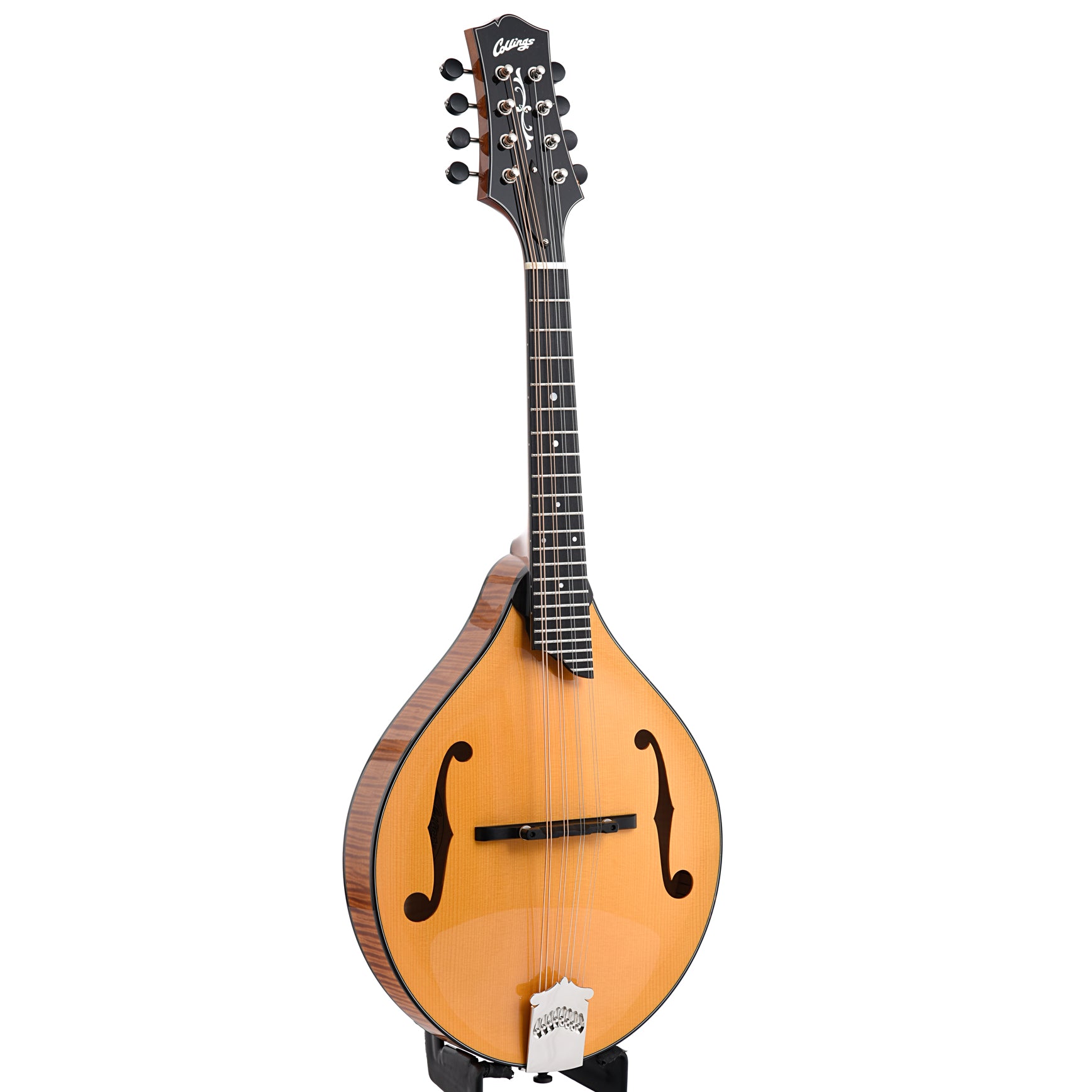 Collings mt deals mandolin for sale