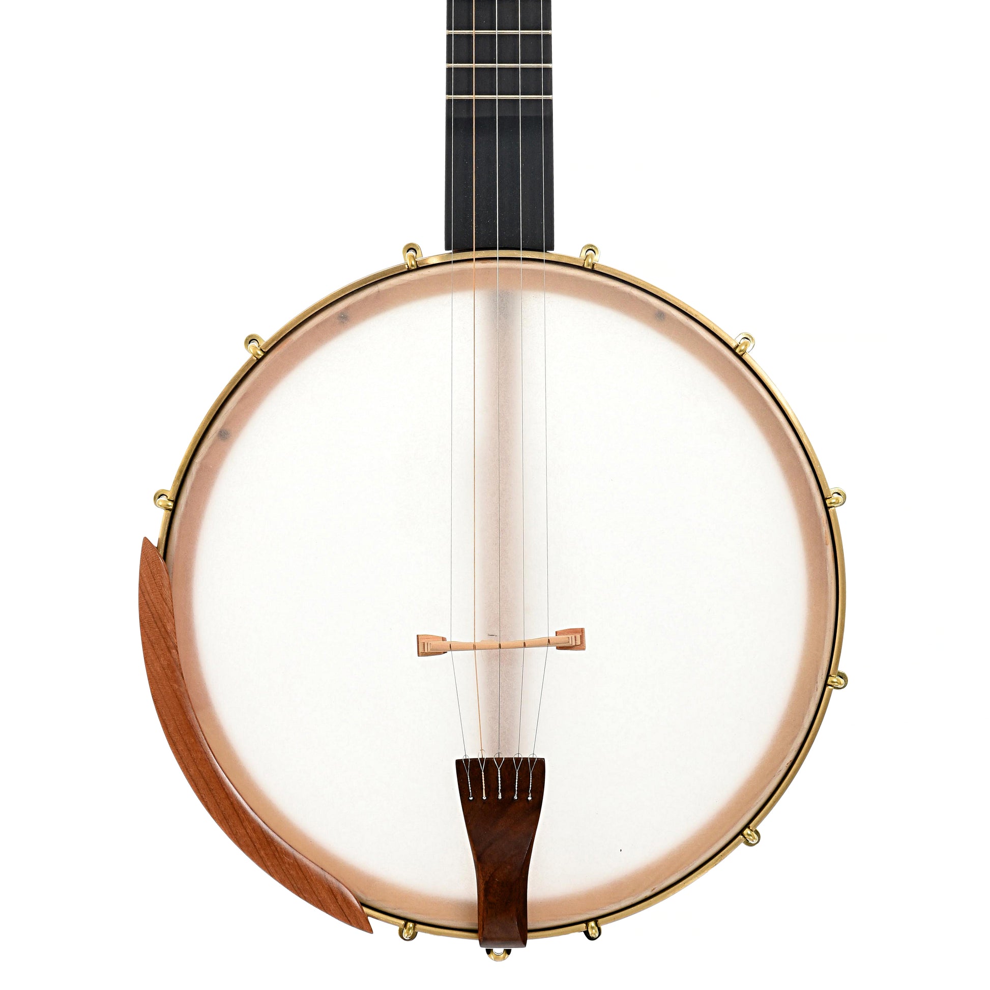 Front of C. Waldman 12" Chromatic (Step Side) Openback Banjo - No. 169