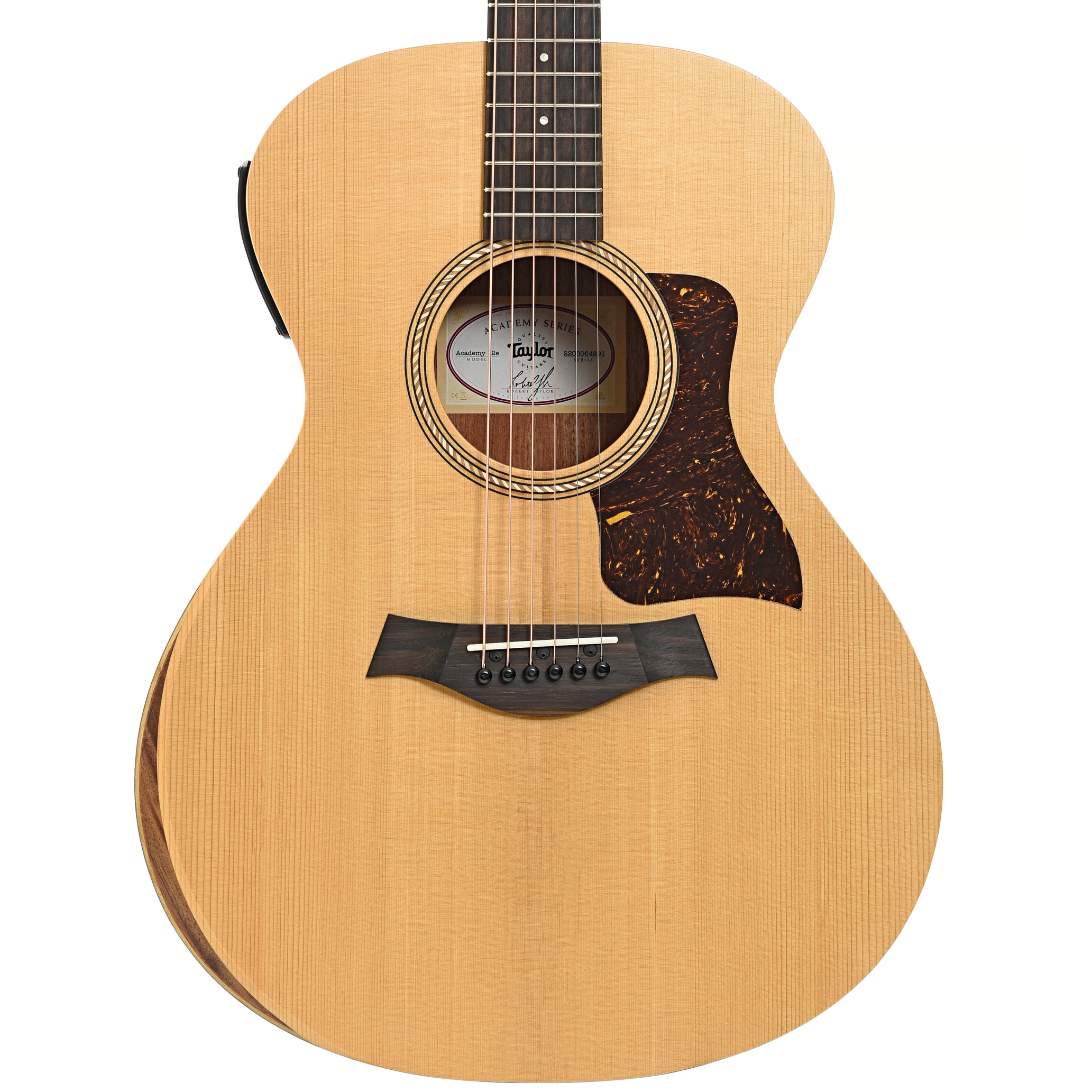 Taylor Academy 12e Acoustic Guitar Gigbag Elderly Instruments