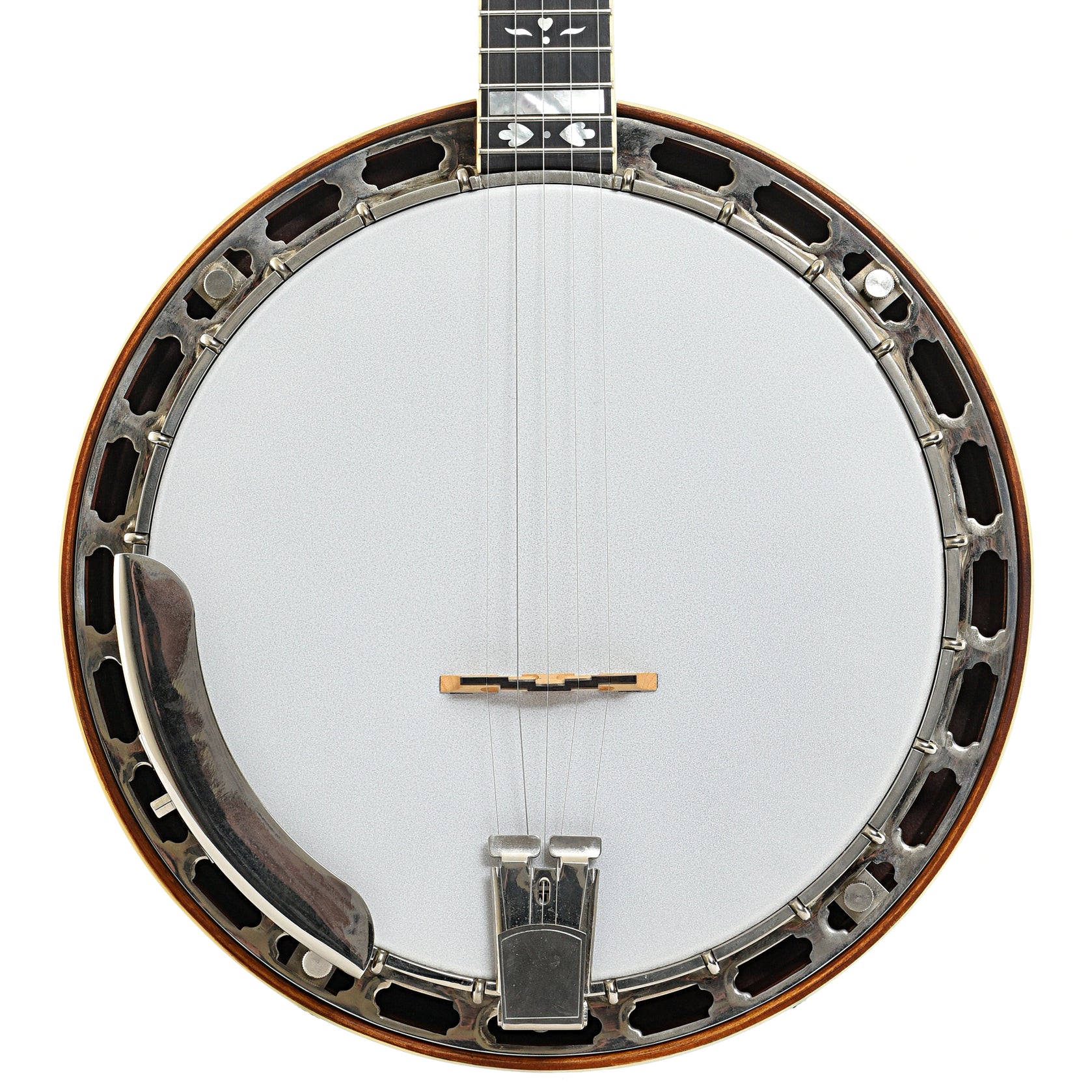 Front of Gold Star GF100HF Banjo