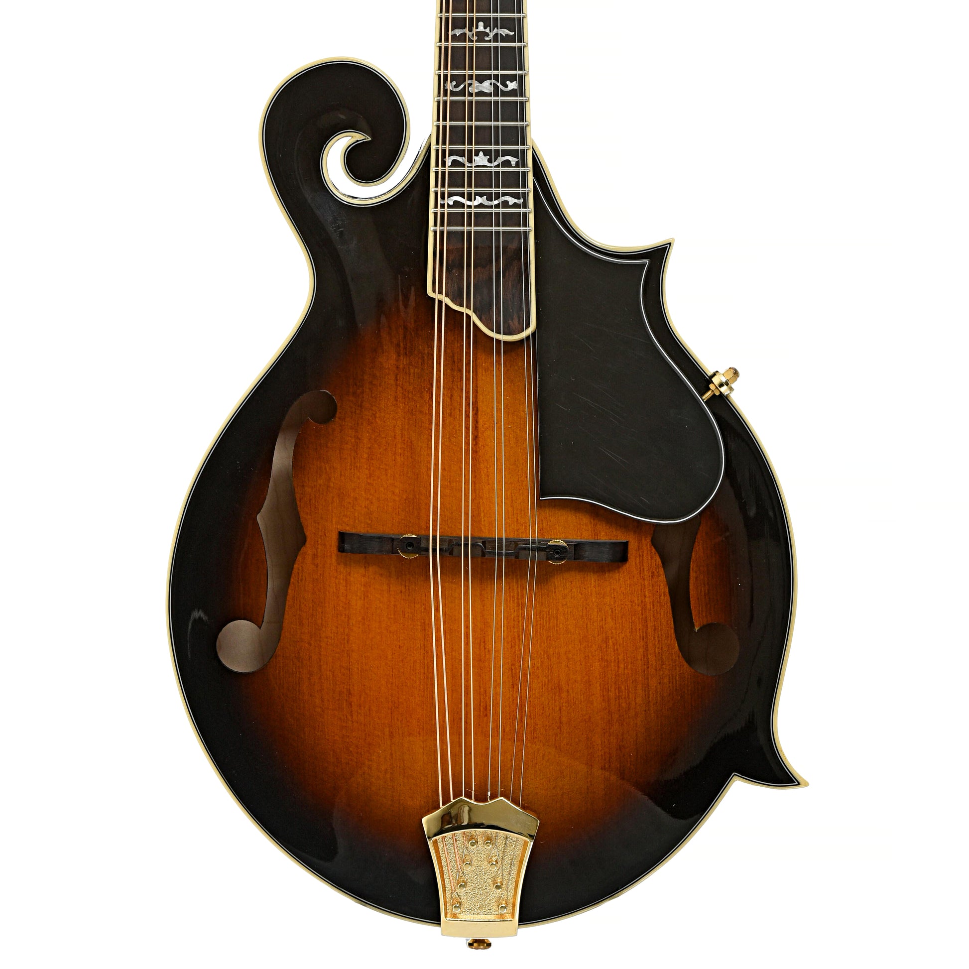 Front of Gold Tone GM-70 Plus Mandolin