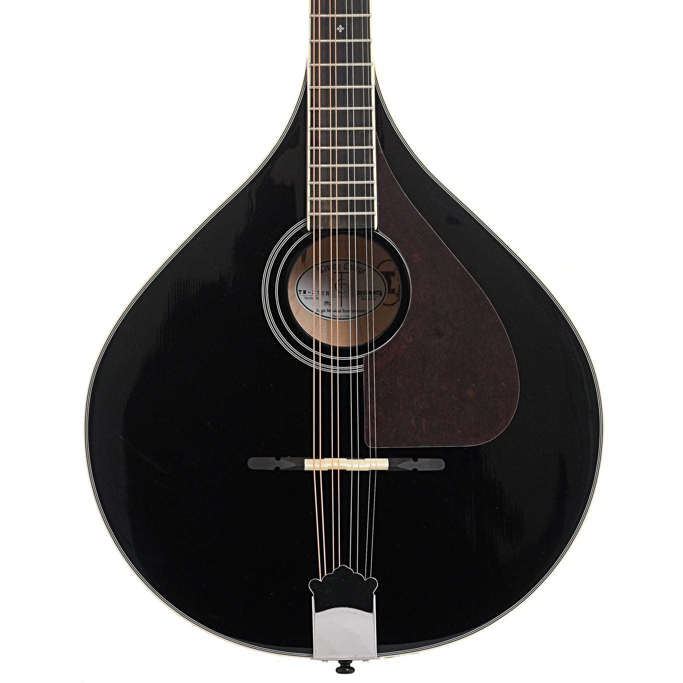 Trinity College Bouzouki, Black Top – Elderly Instruments