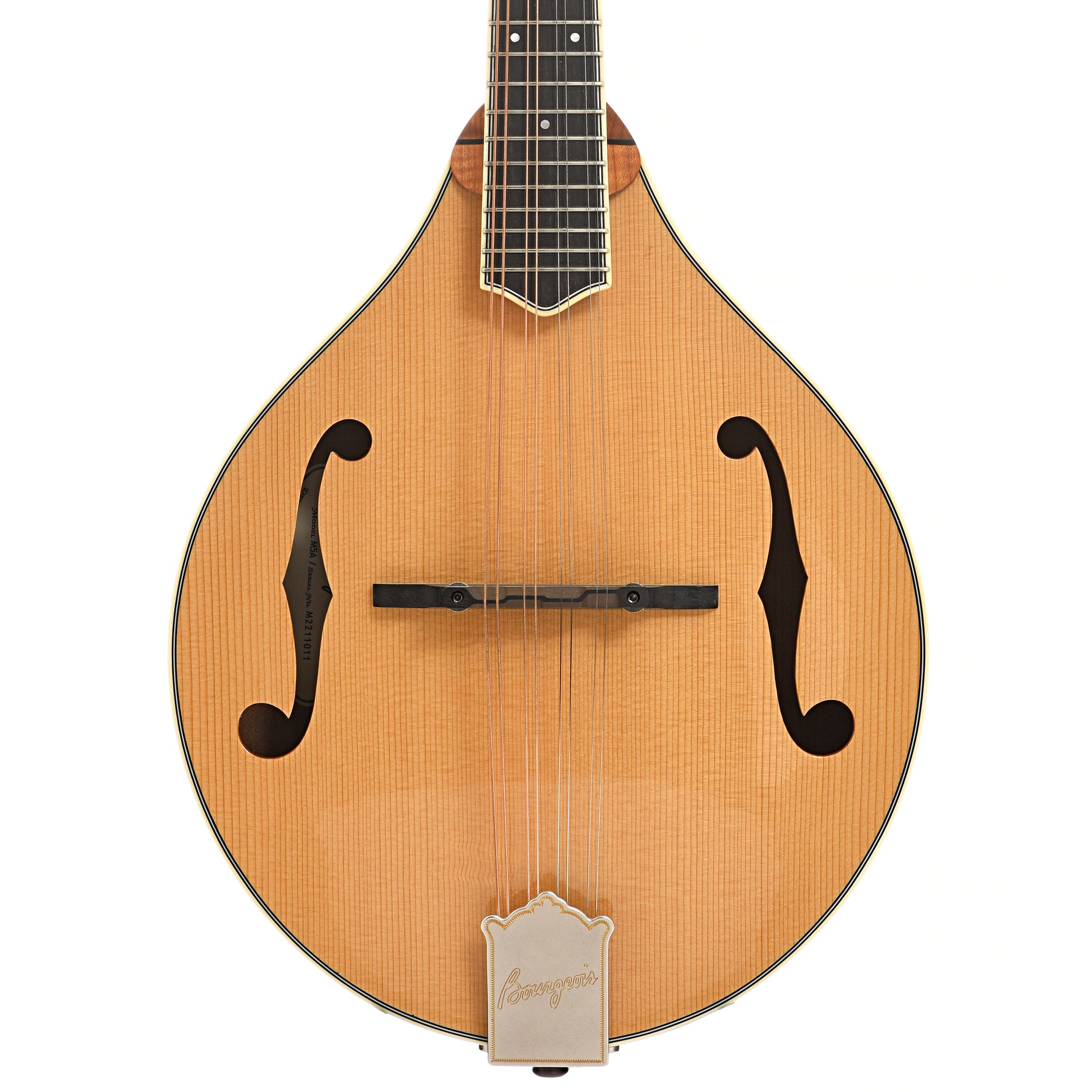 Front of Bourgeois M5A Mandolin