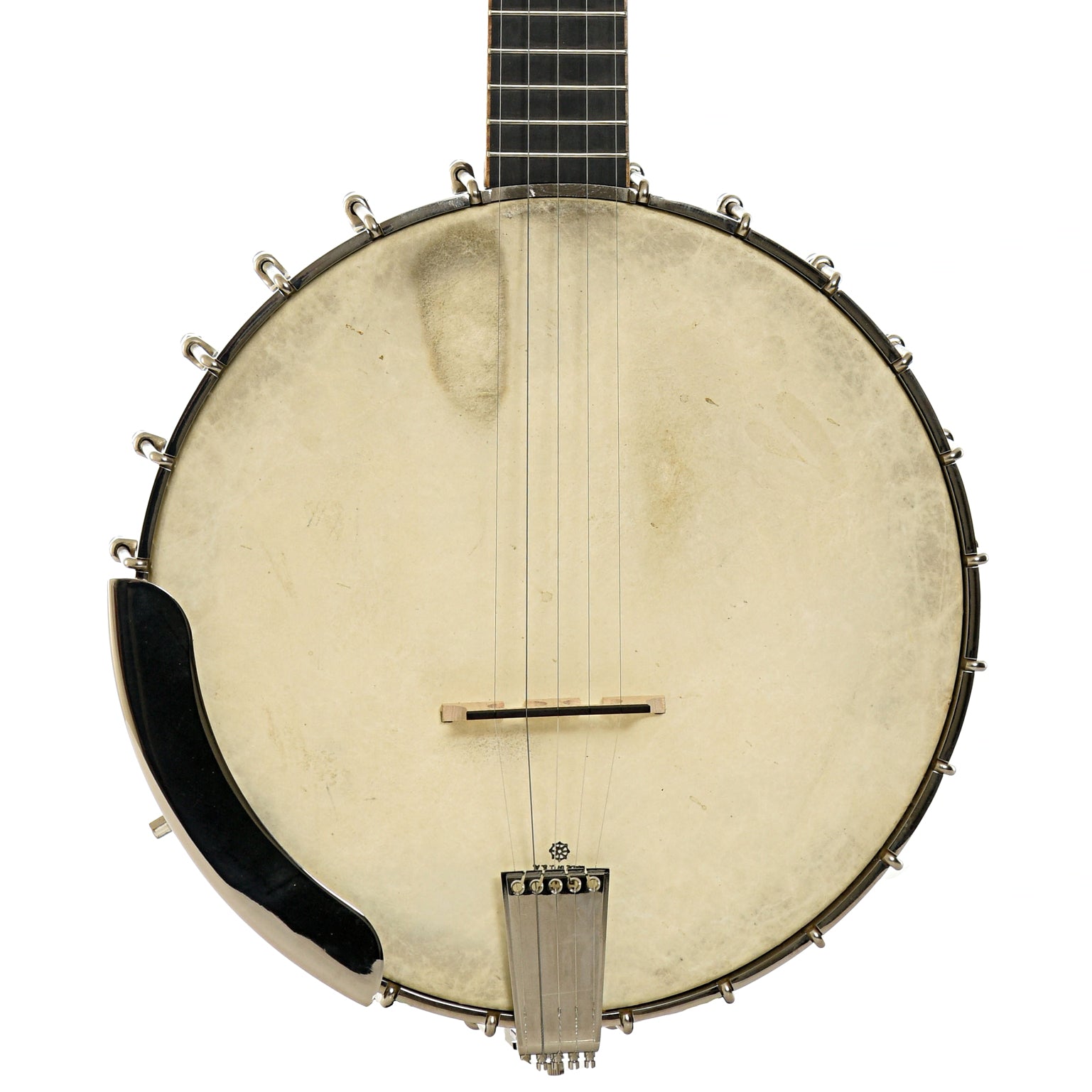 Front of Wildwood Custom Dragon Tubaphone Banjo