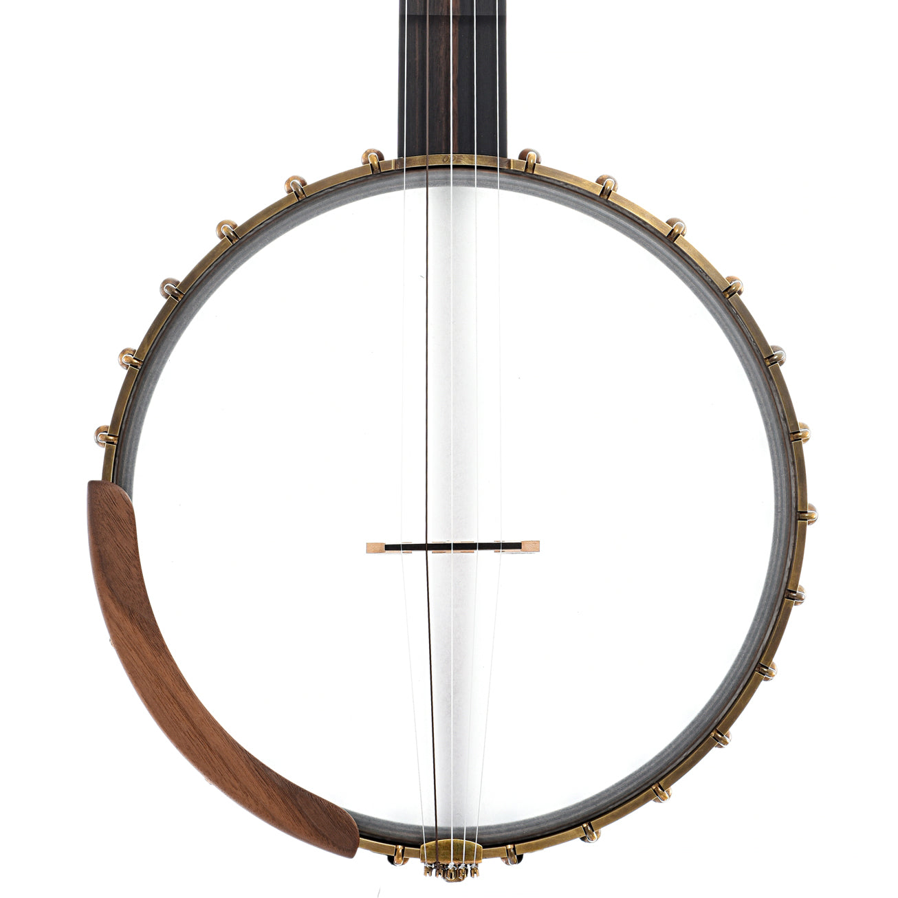 Front of of Ode Magician 12" Fretless Openback Banjo Nylgut Strings