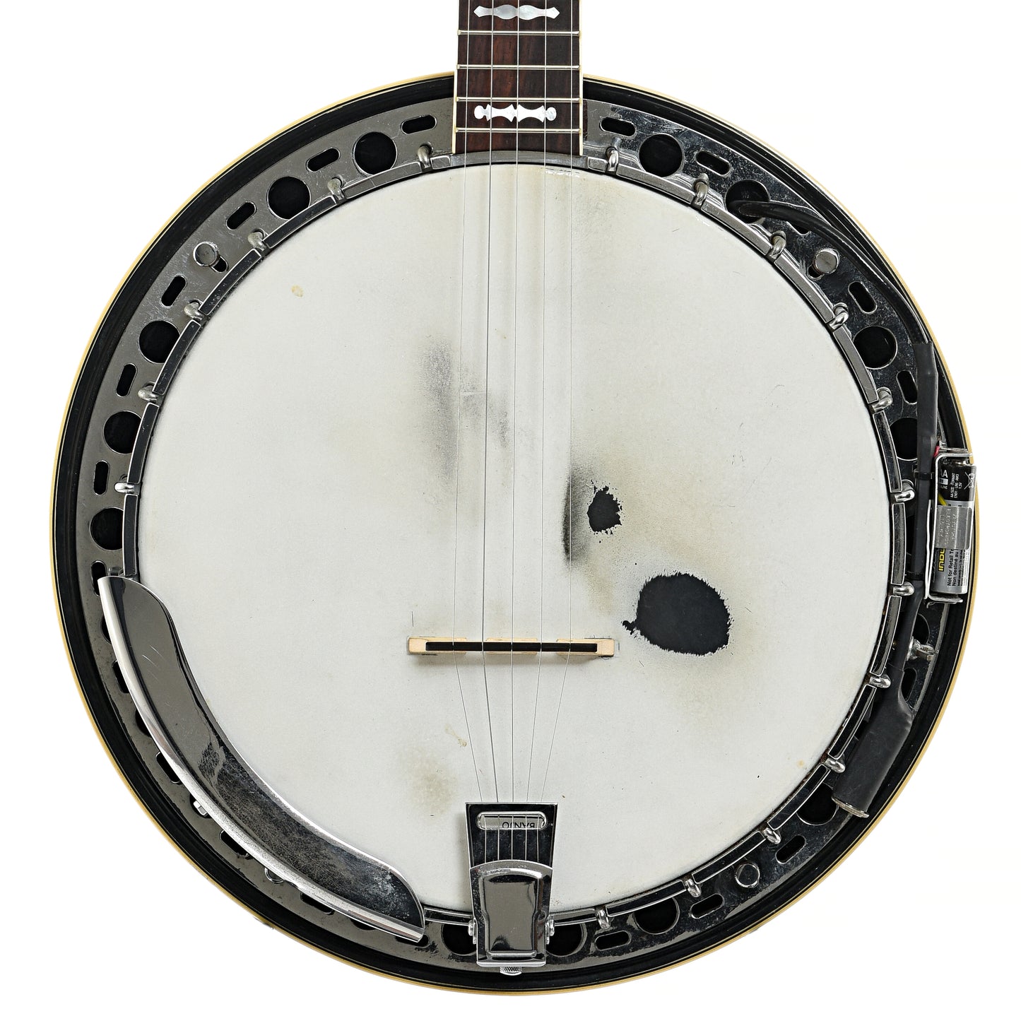 Front of Fender Artist Resonator Banjo (c.1969)