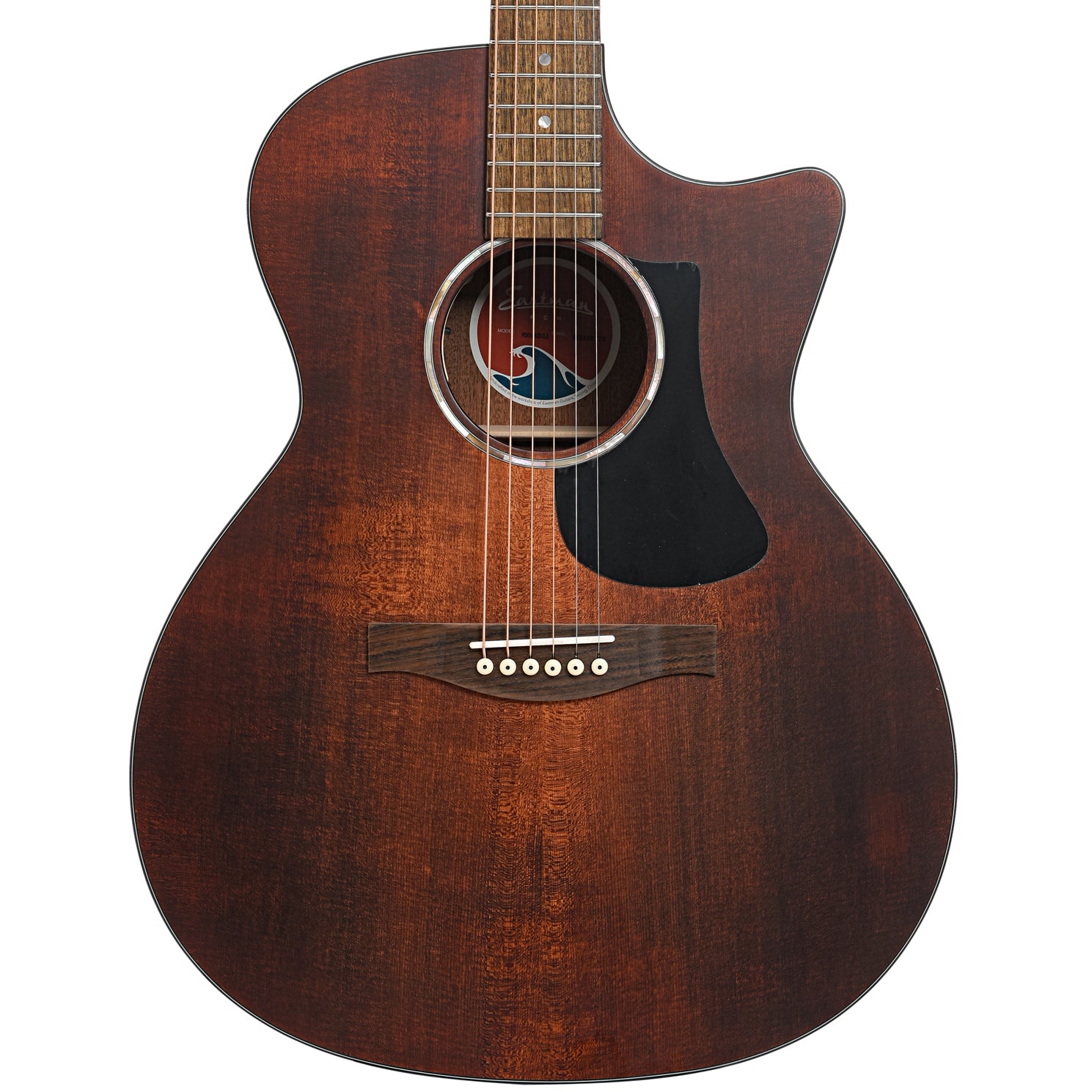 Eastman pch gace sales