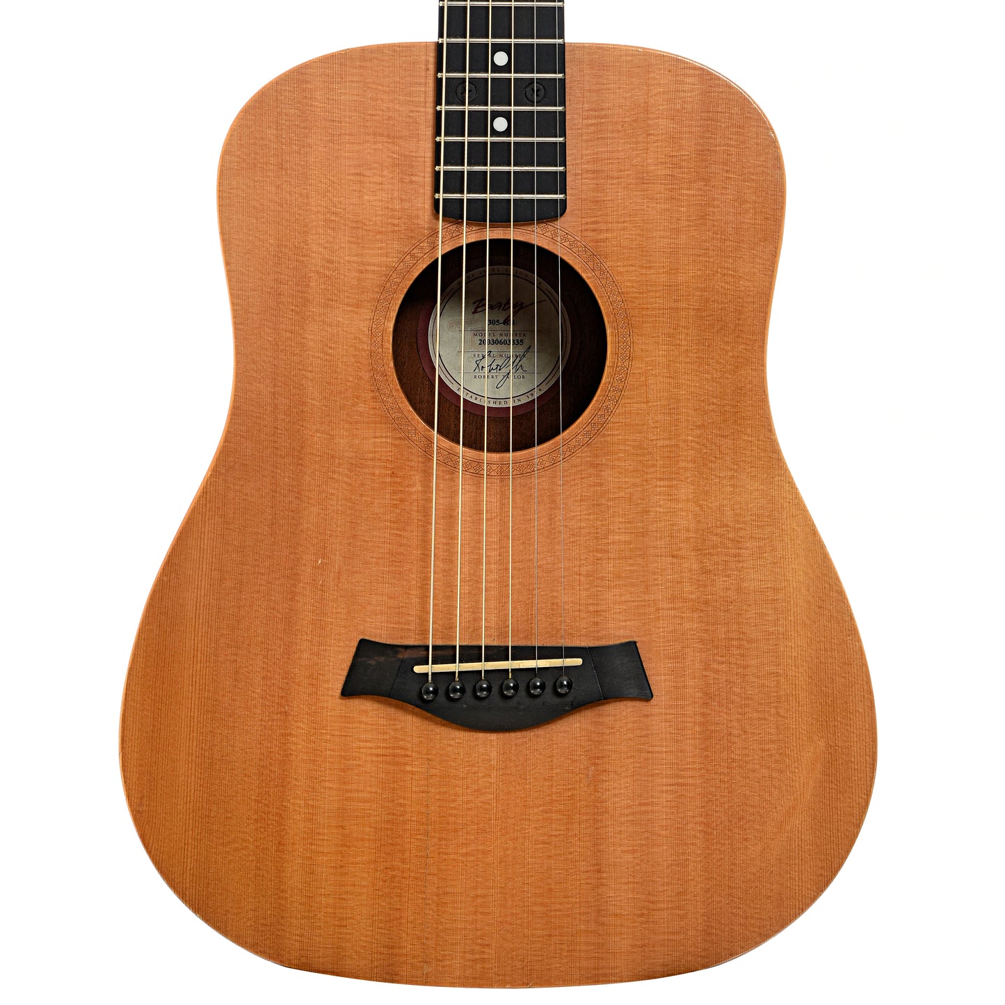 Front of Taylor Baby 305-GB Acoustic Guitar