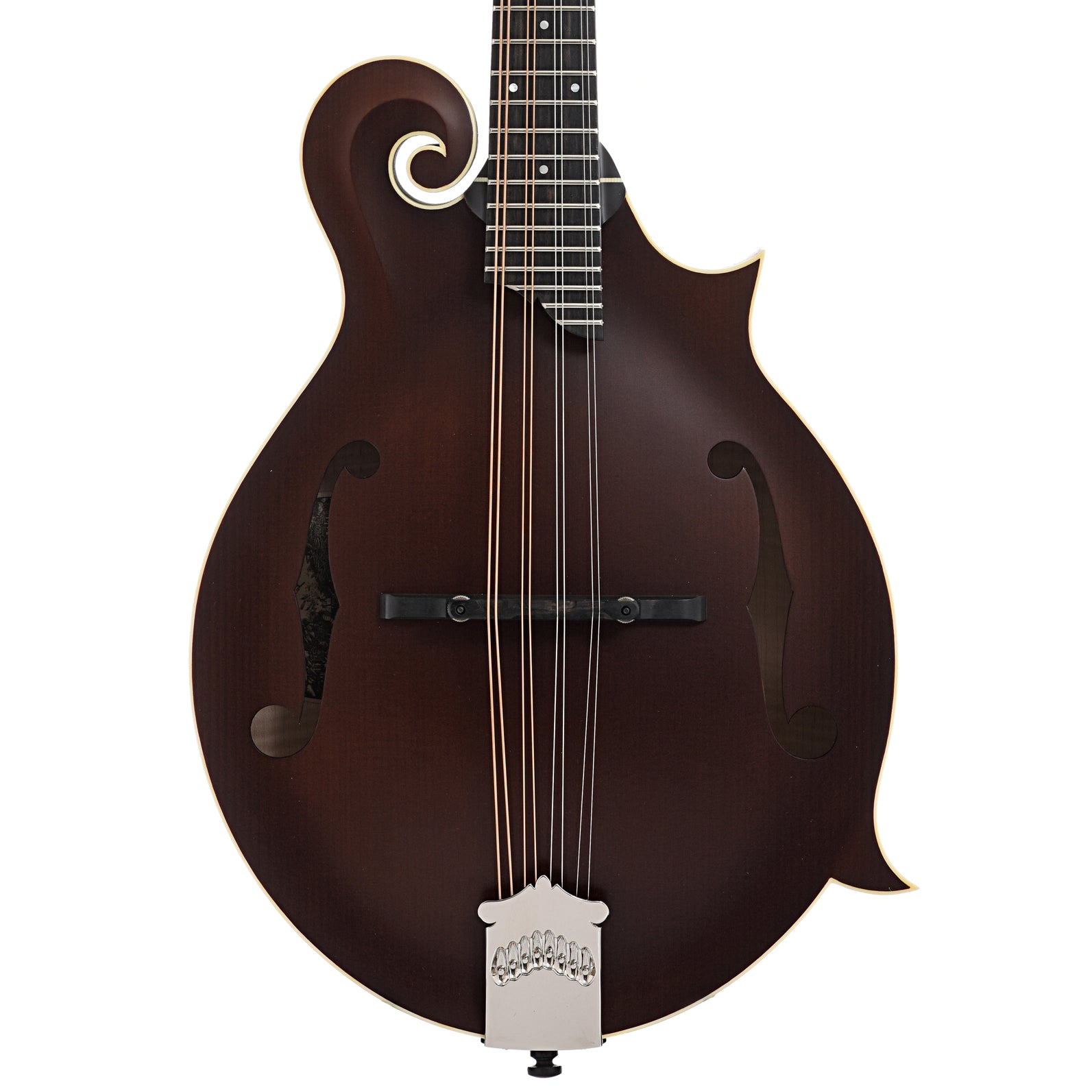 Front of Collings MF F-Model Mandolin Sheraton Brown, Ivoroid Binding