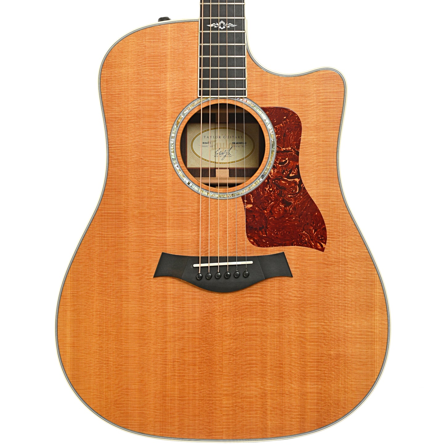 Front of Taylor 810-CE Acoustic-Electric Guitar (2004)
