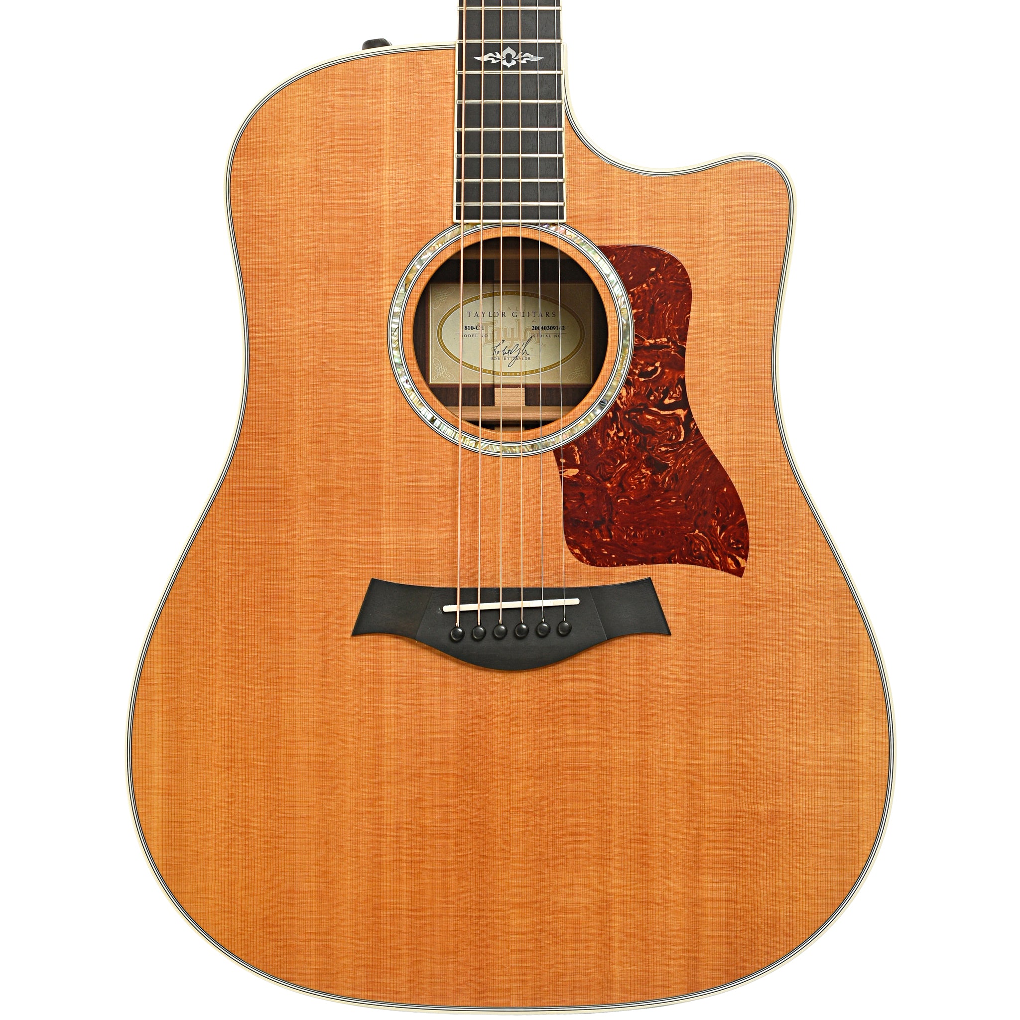 Taylor 810 CE Acoustic Electric Guitar 2004 Elderly Instruments