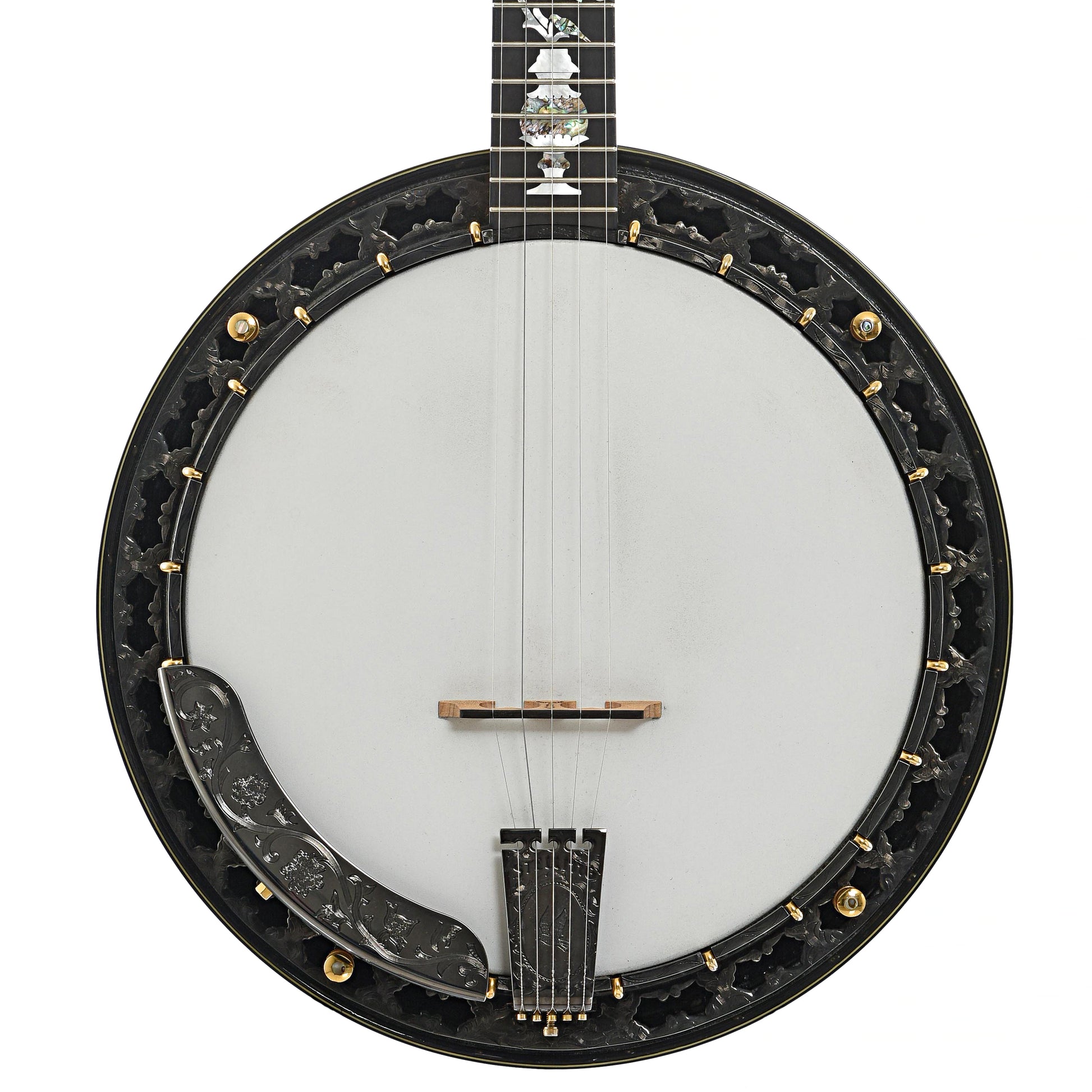 front of Stelling Tree of Life Resonator Banjo (2001)