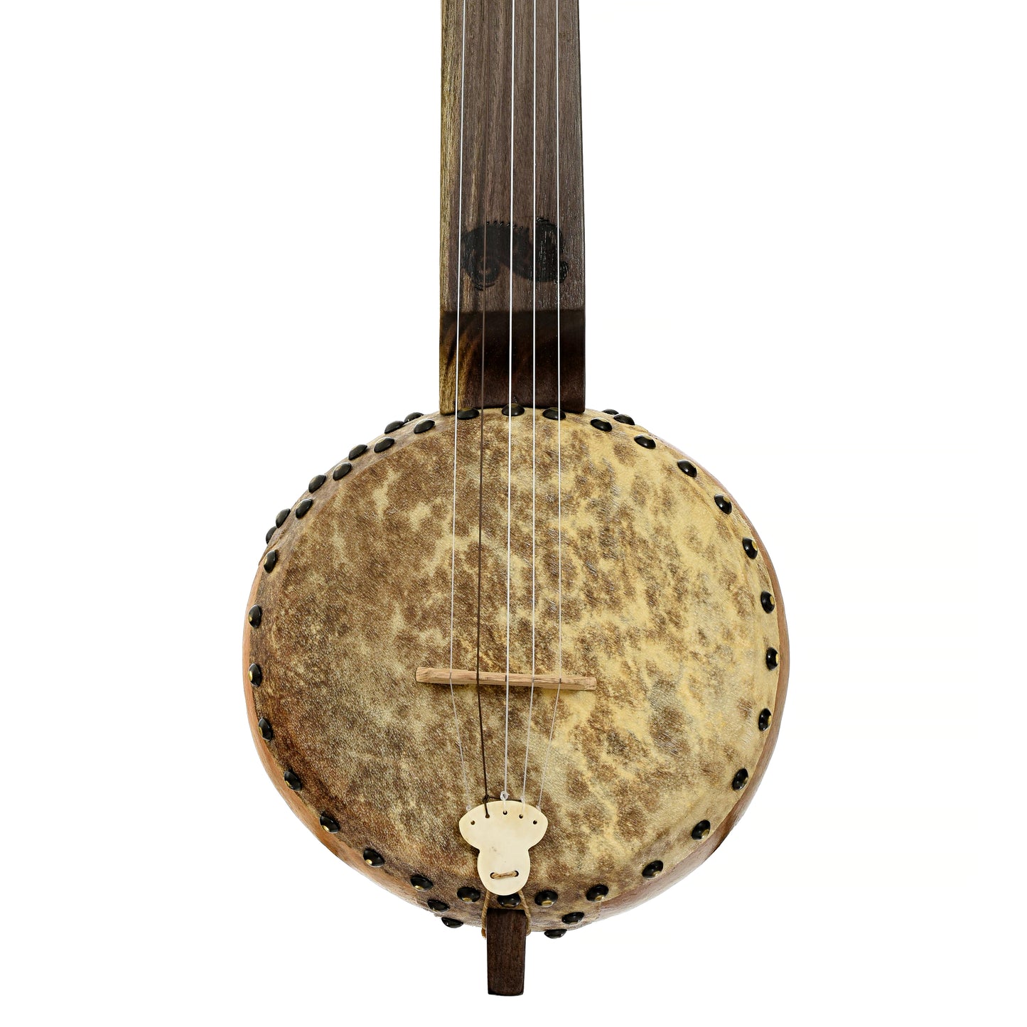 Front of Menzies Fretless Gourd Banjo #588