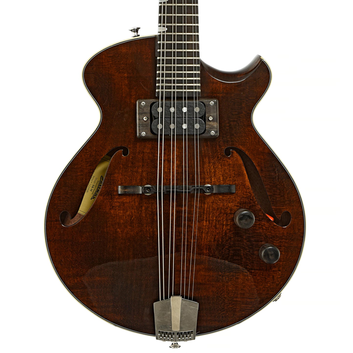 Front of Eastman ER-M Electric Mandolin