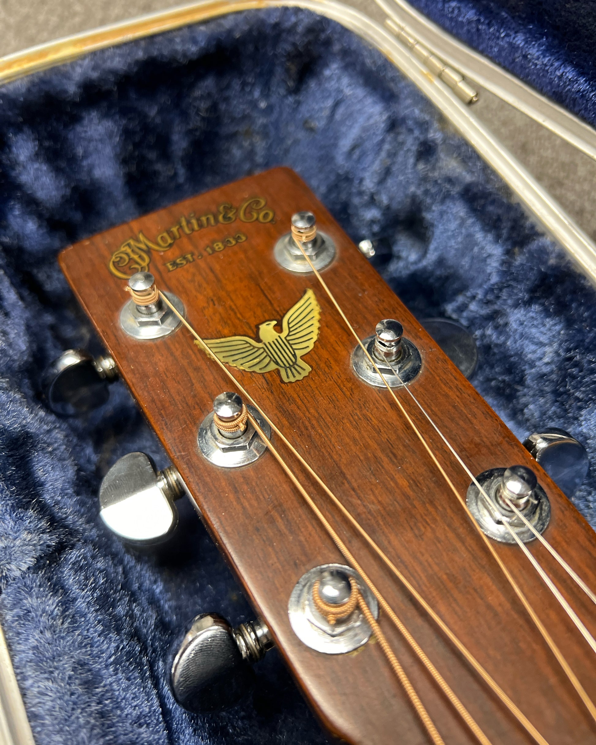 Showroom photo of headstock of Martin D-76 Acoustic Guitar (1976)