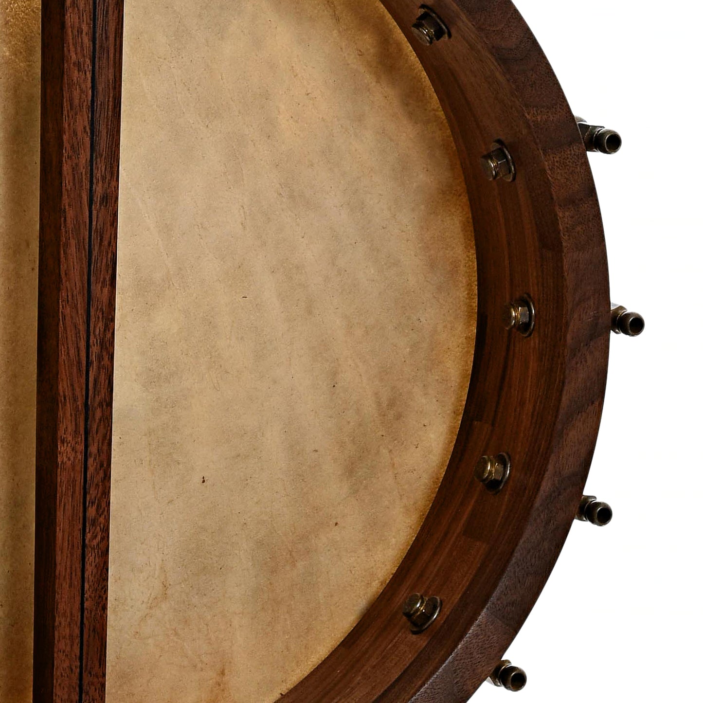 Inside rim of Nashville Banjo Co Cumberland 12" Openback Banjo #141 & Gigbag, Walnut