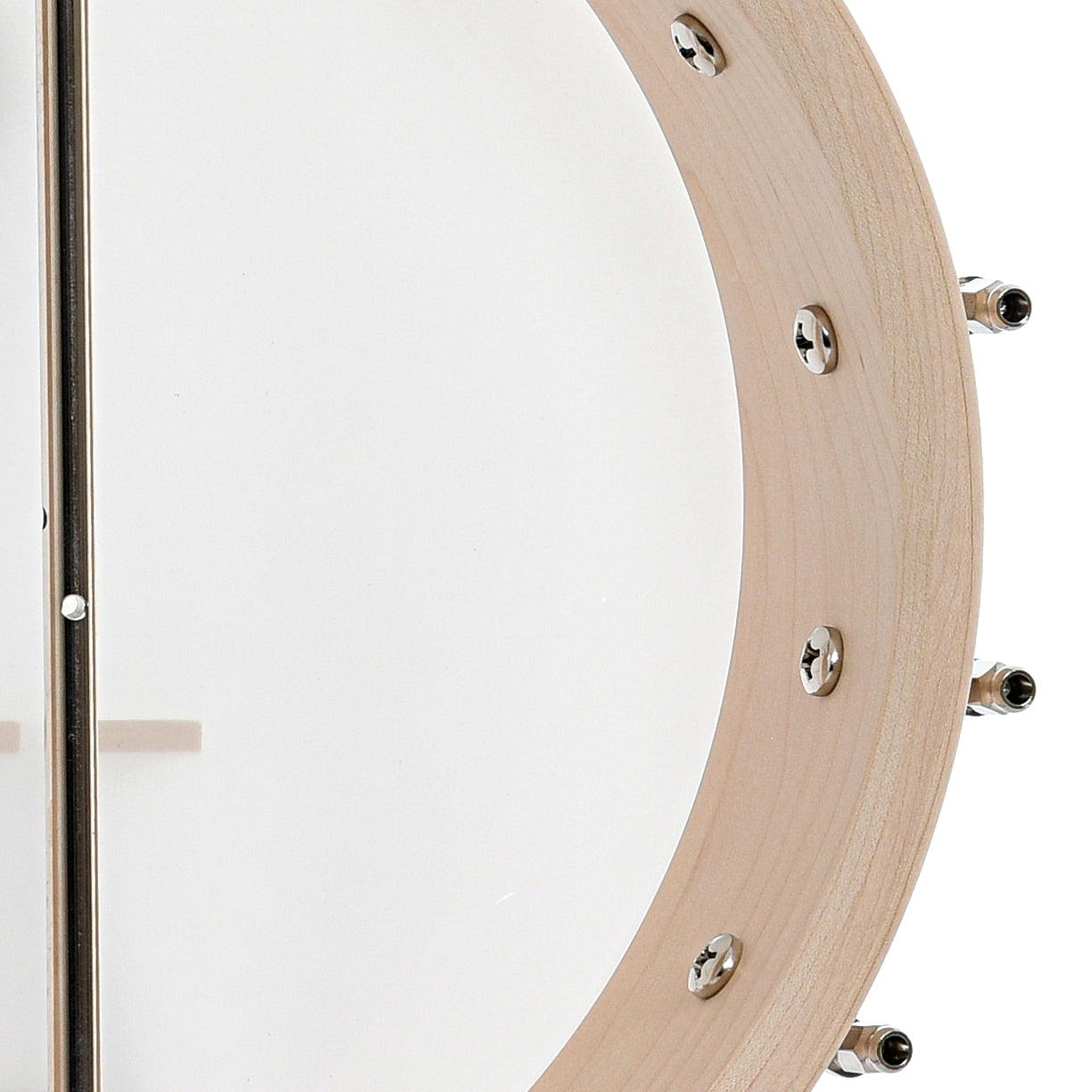 Deering Goodtime Openback Banjo with Scooped Fretboard