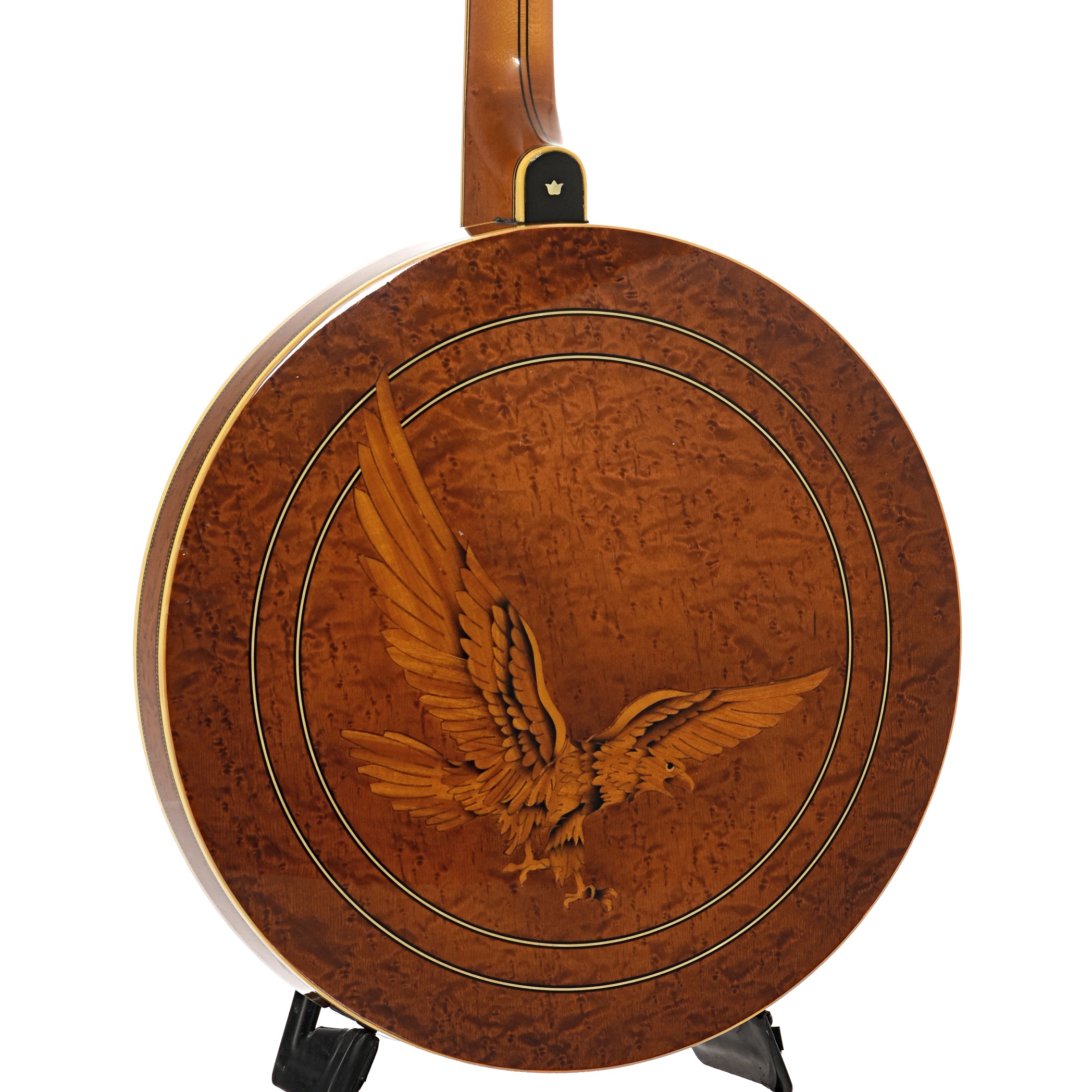 Epiphone banjo with eagle on back online