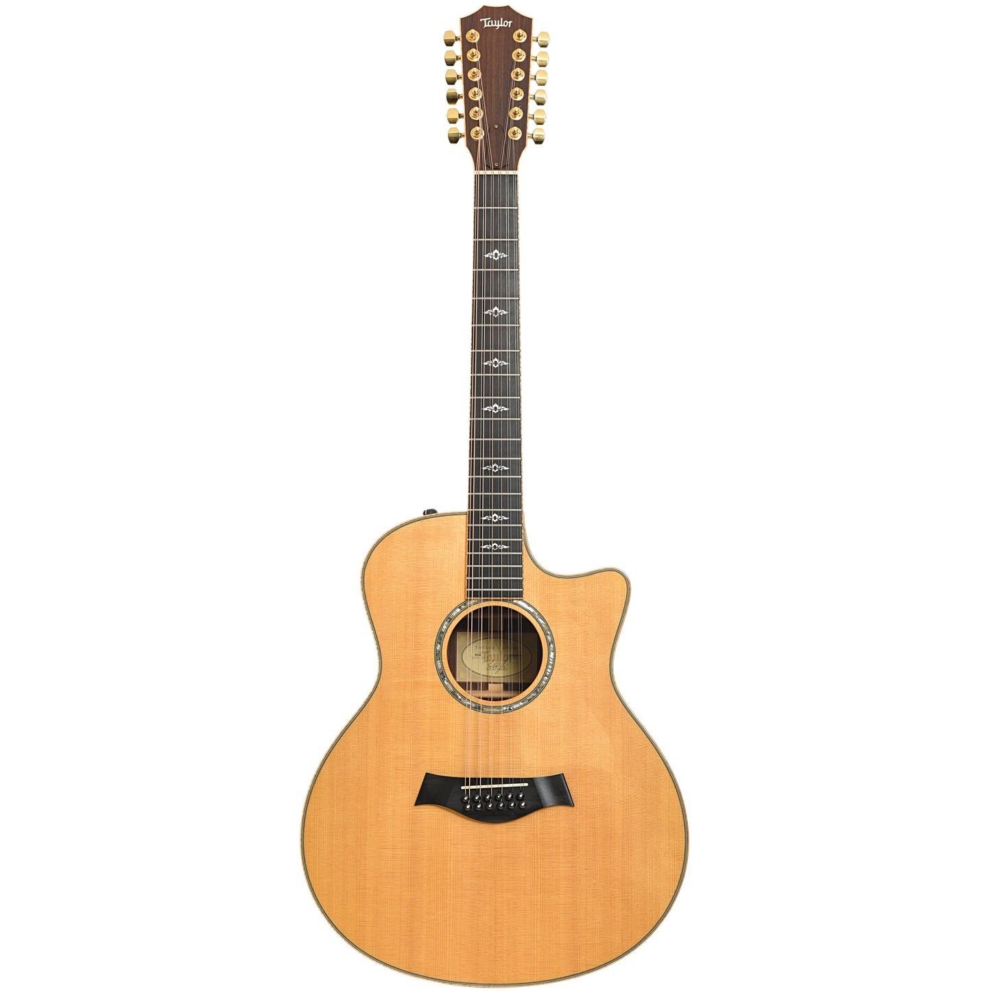 Full front of Taylor 856ce 12-String Acoustic Guitar (2010)