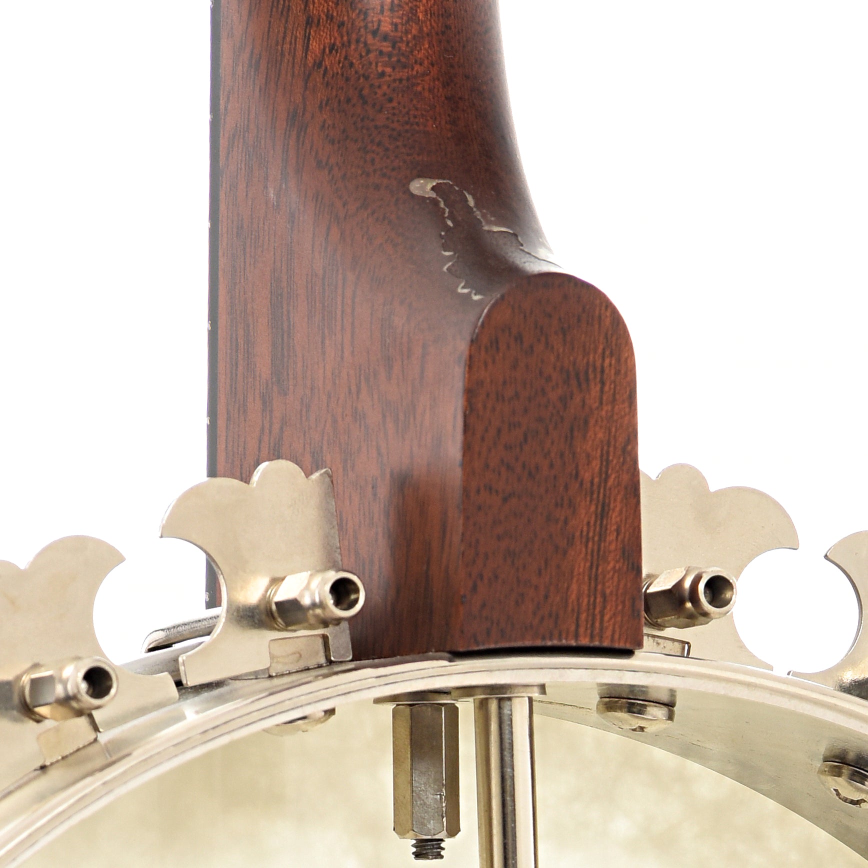 Neck joint of Deering Boston Plectrum 4-string Banjo (2014)