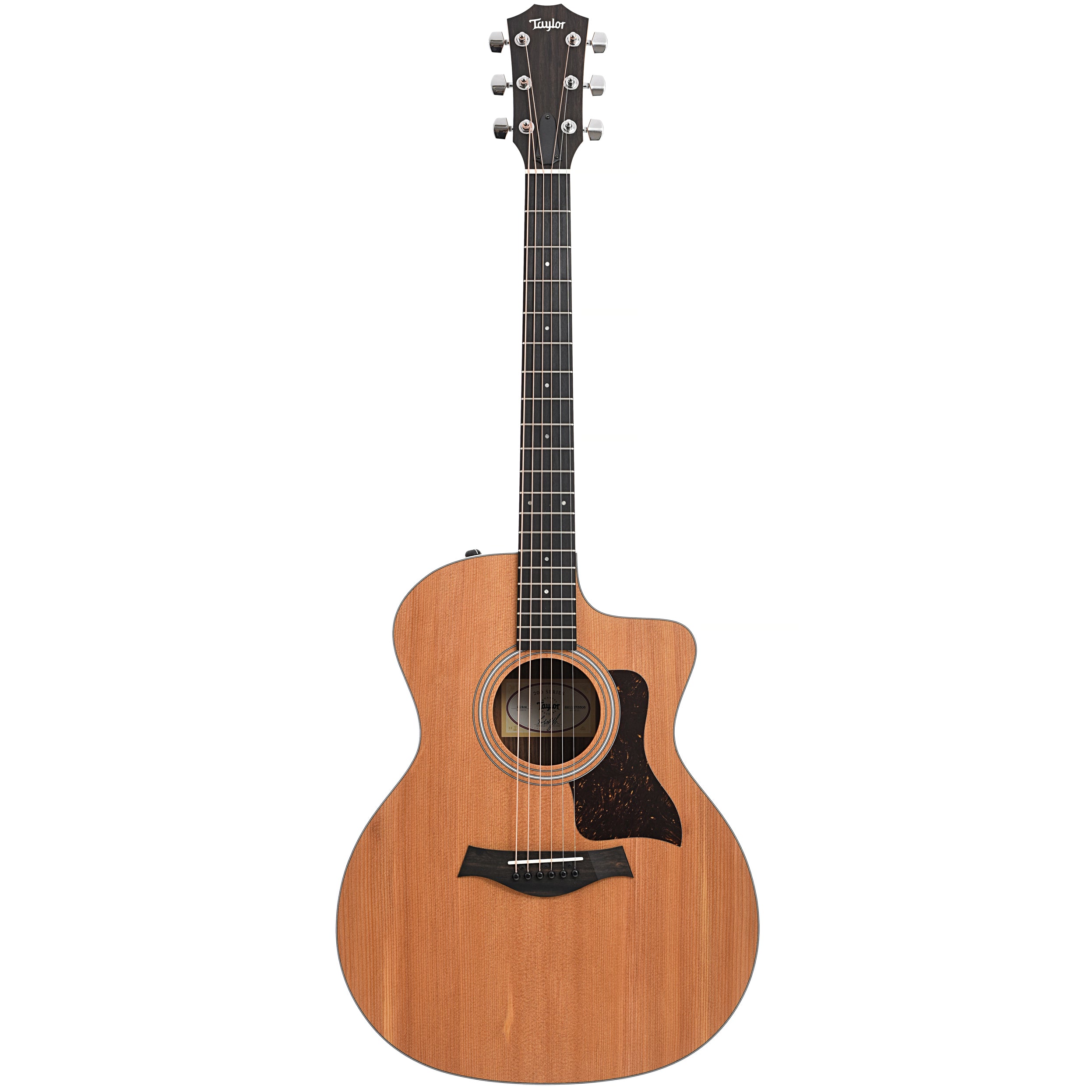 Taylor 214ce Acoustic Guitar & Gigbag – Elderly Instruments