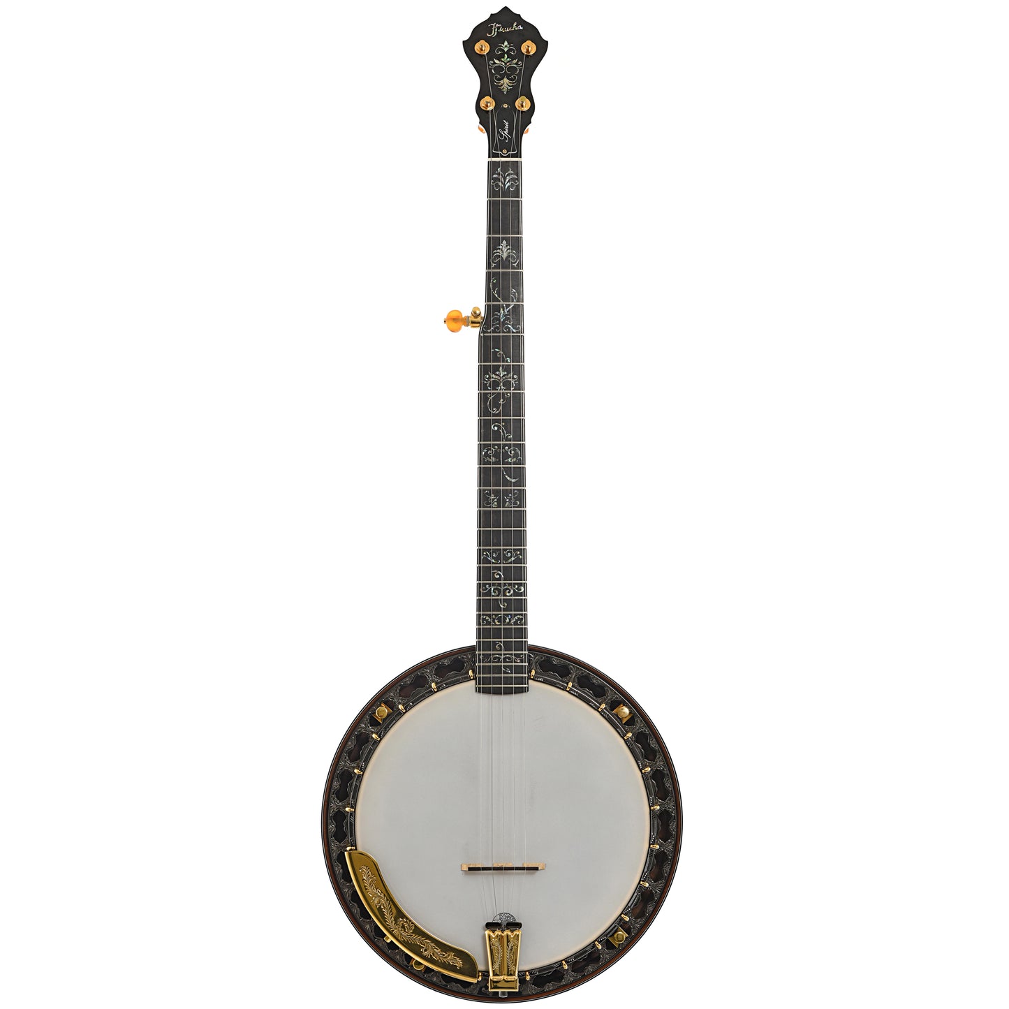 Full front of Prucha Spirit 24 Custom Presentation Resonator Banjo (2014)