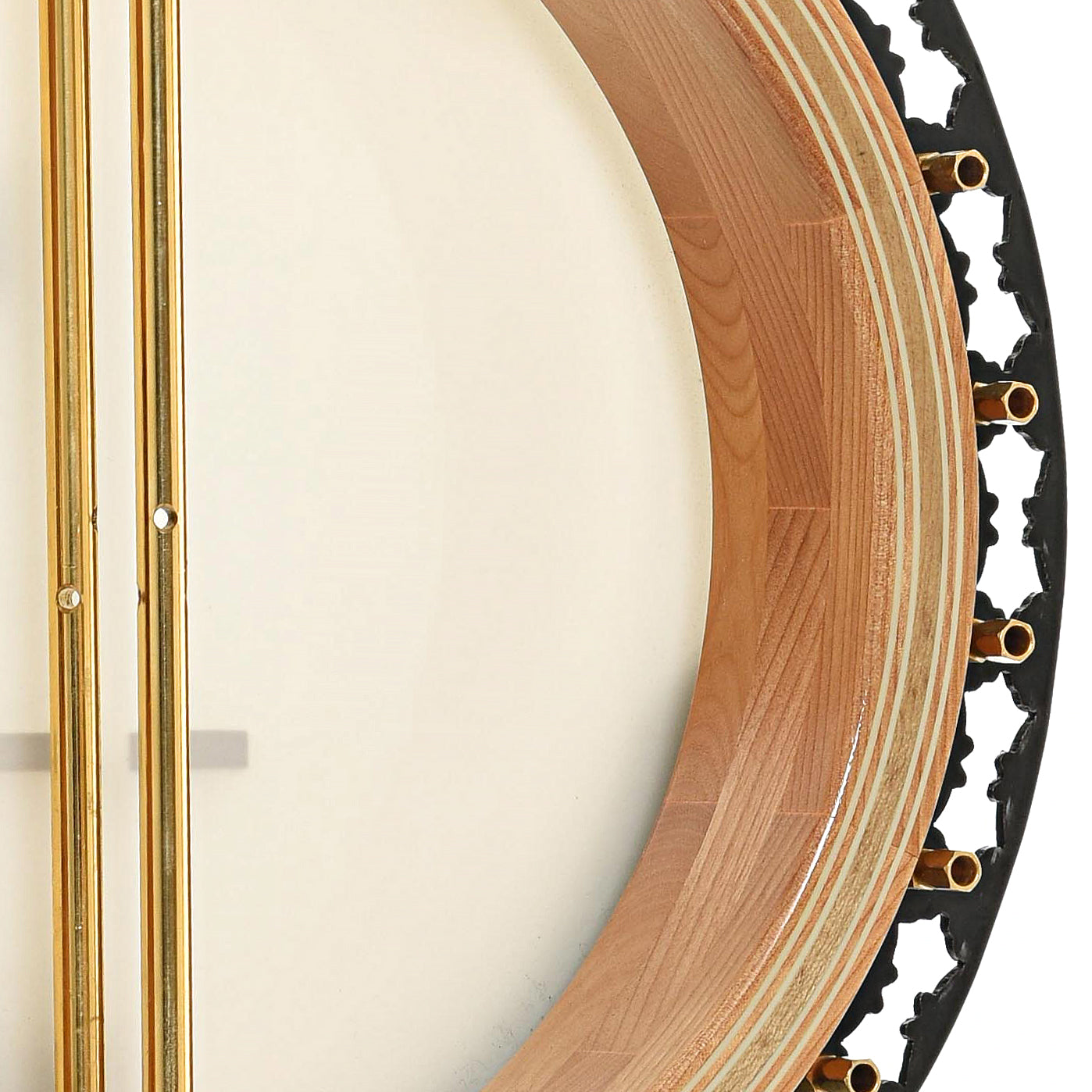 Inside rim of Stelling Tree of Life Resonator Banjo (2001)