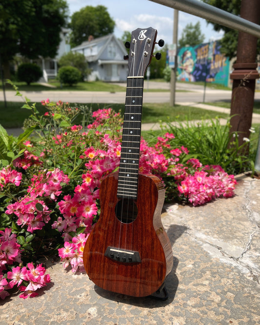 Showroom Photo of Front of Kanile'a K-1C Concert Ukulele