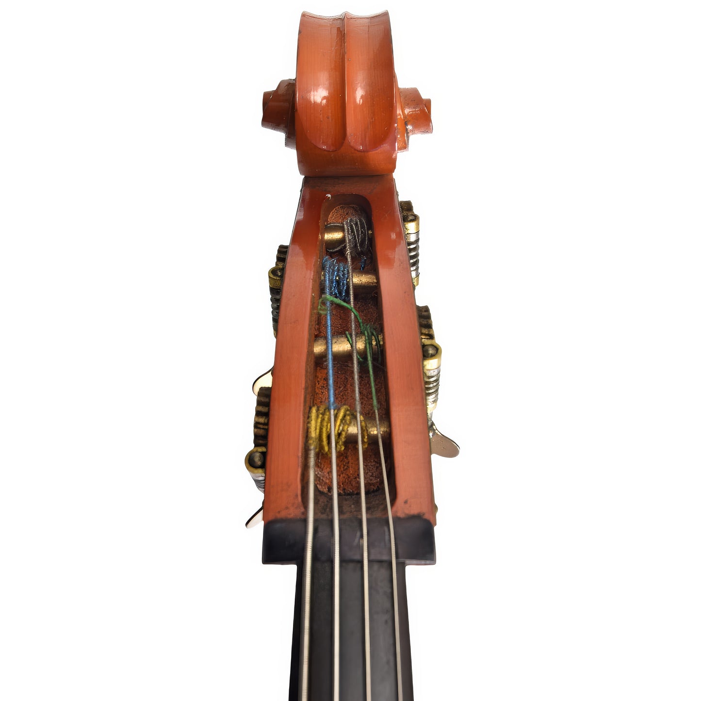 Front scroll of Englehardt C-1 3/4 Upright Bass (1992)