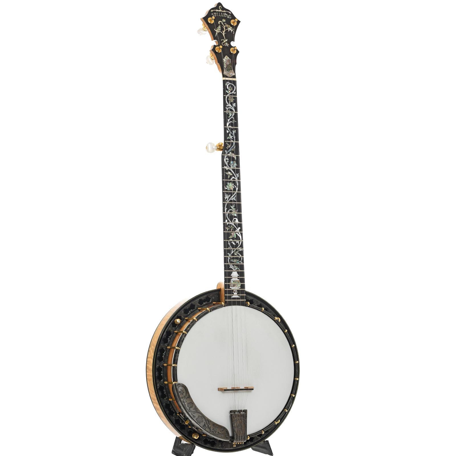 Full front and side of Stelling Tree of Life Resonator Banjo (2001)