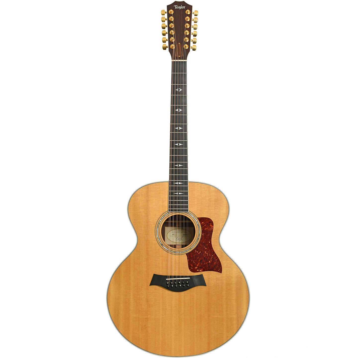 Full front of Taylor 855 12-String Acoustic Guitar (2003)