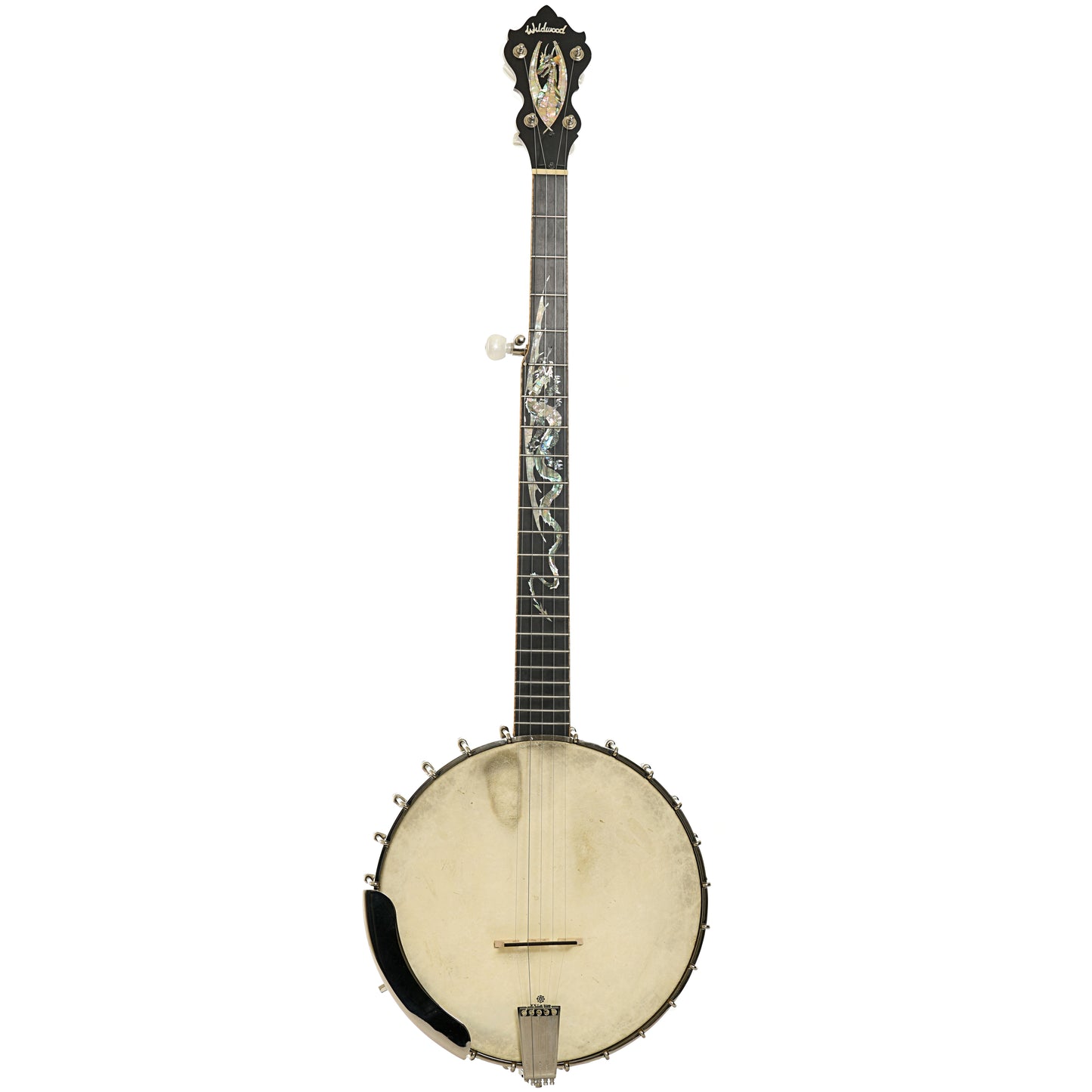 Full front of Wildwood Custom Dragon Tubaphone Banjo