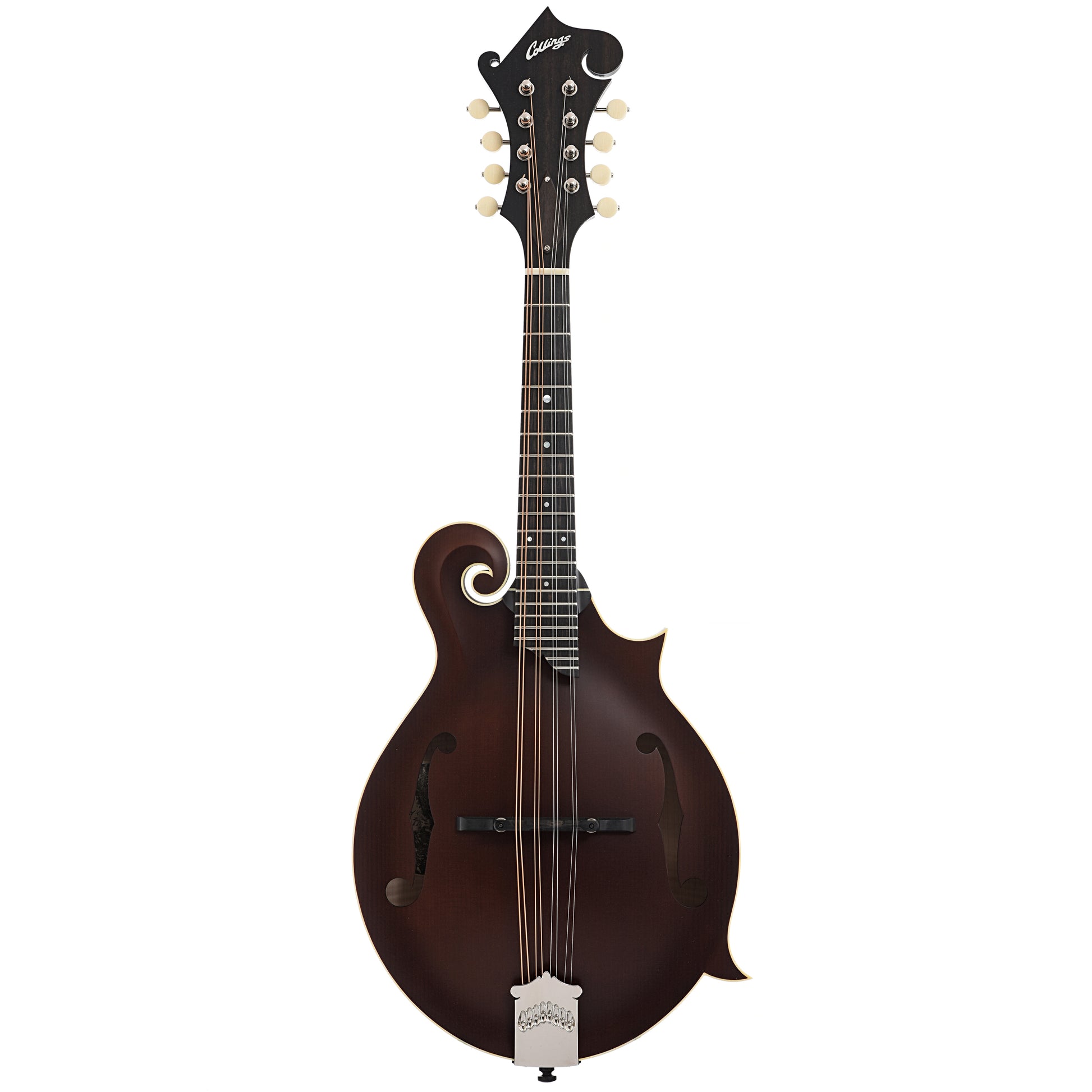 Full front of Collings MF F-Model Mandolin Sheraton Brown, Ivoroid Binding