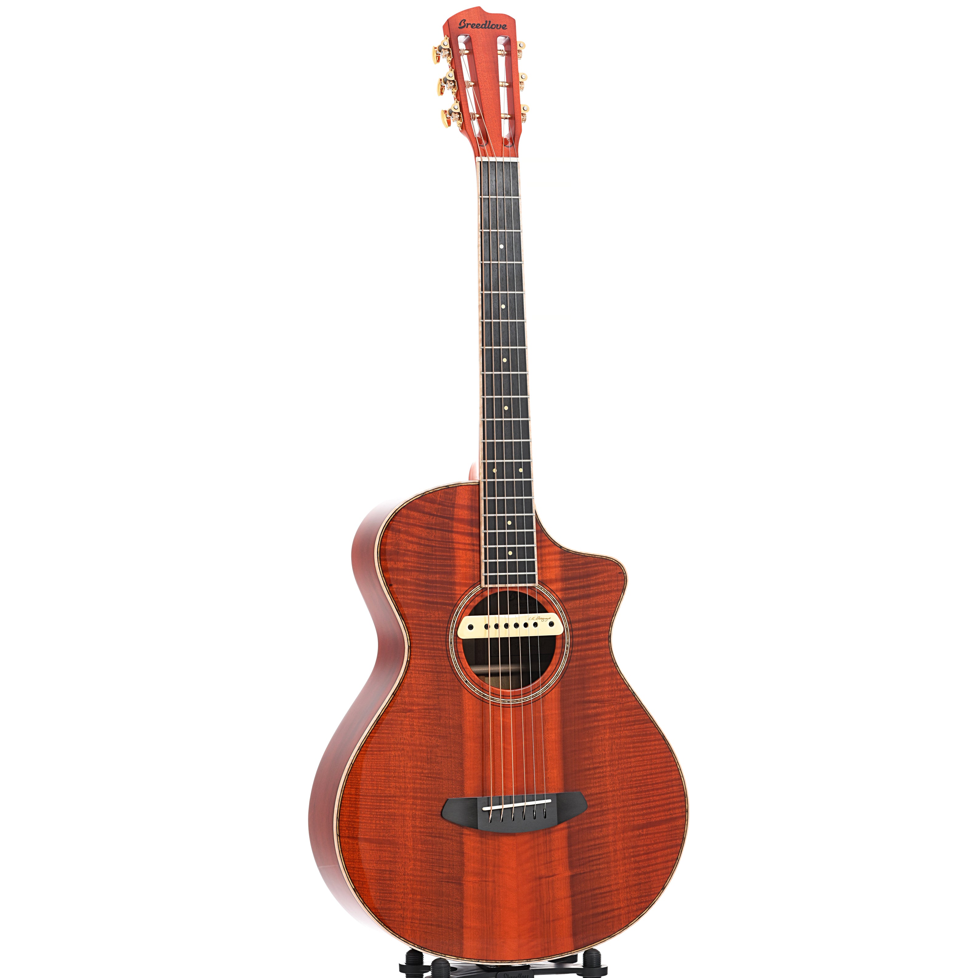 Breedlove Concertina M1 Myrtlewood Acoustic Electric Guitar 2023 Elderly Instruments