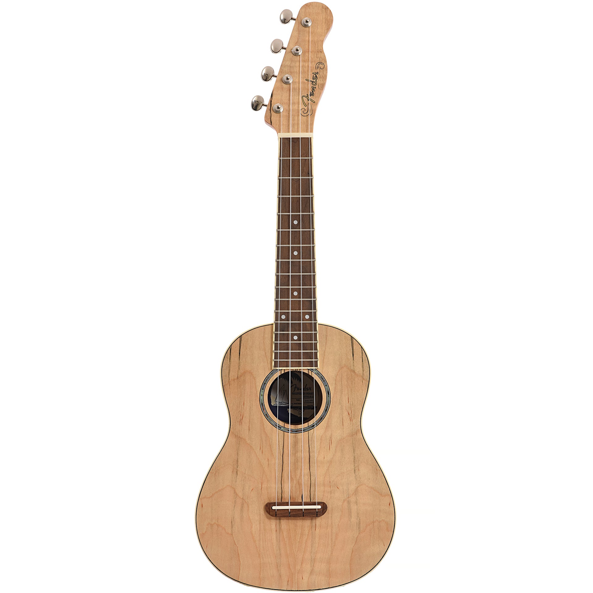 Fender Zuma Exotic Concert Ukulele Spalted Maple Elderly Instruments
