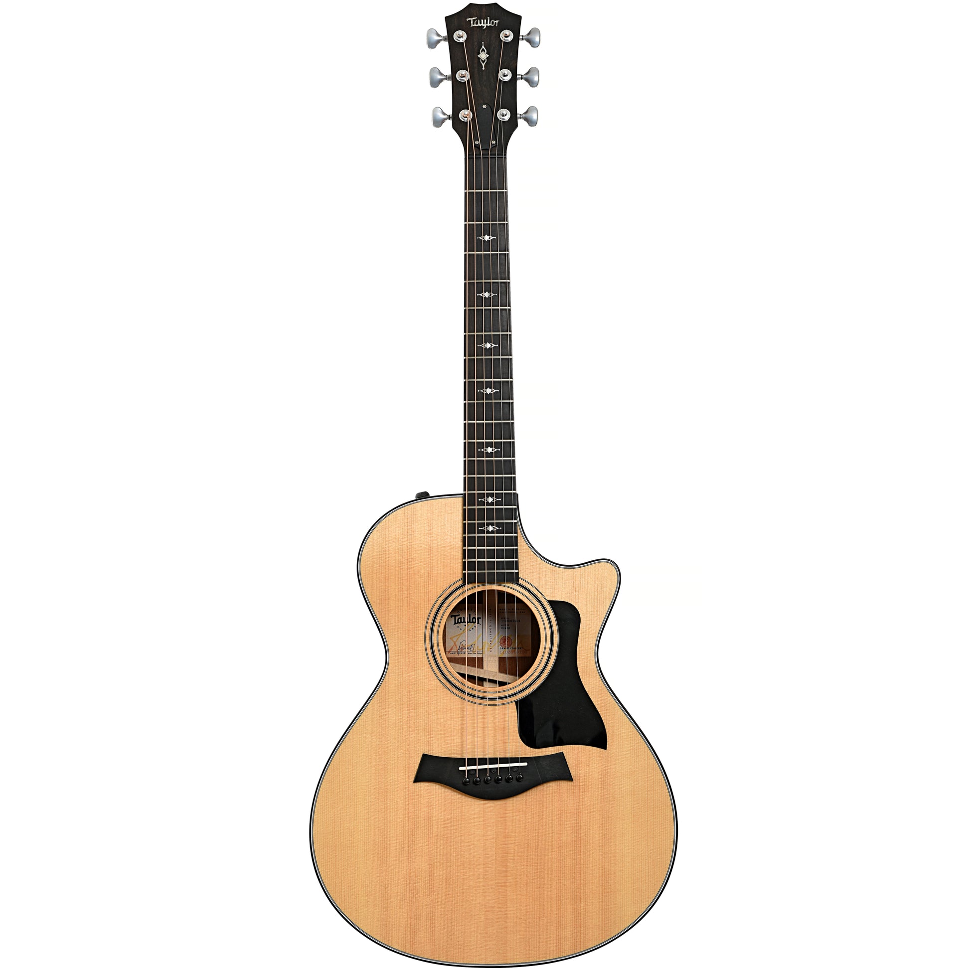 Full front of Taylor 312ce Acoustic-Electric Guitar (2019)