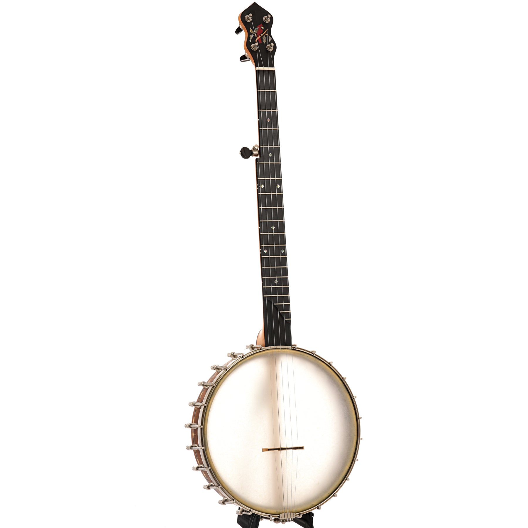 Full front and side of Cedar Mountain Jubilo V Openback Banjo