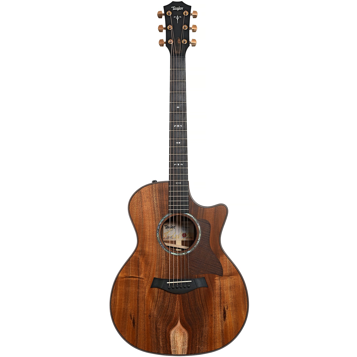 Full front of Taylor 724ce Acoustic Guitar