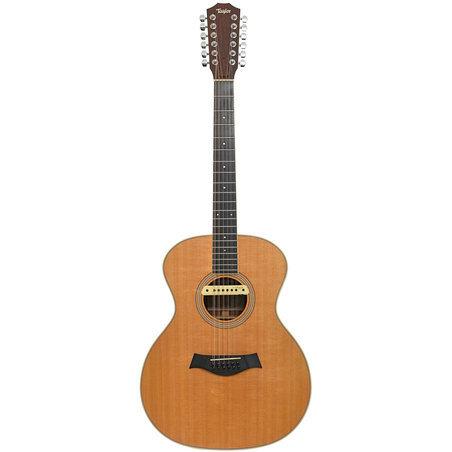 Full front of Taylor GA3-12 12-String Acoustic Guitar (2007)