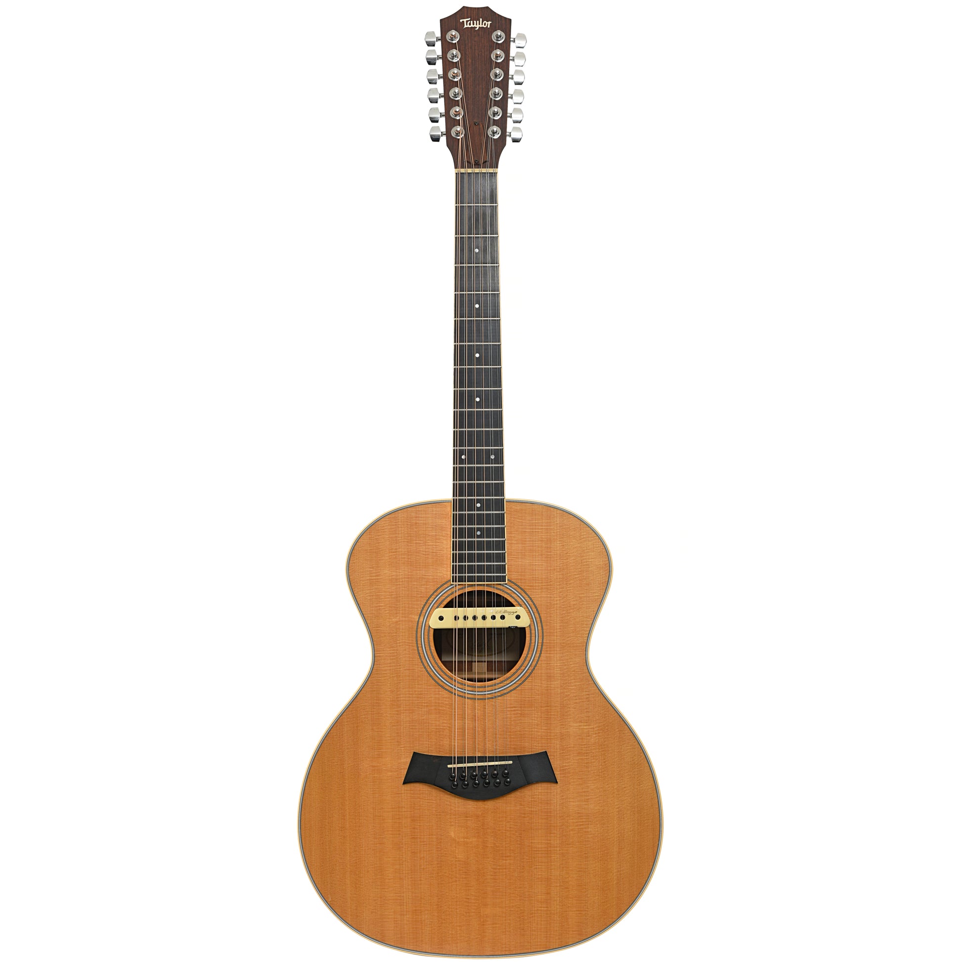 Full front of Taylor GA3-12 12-String Acoustic Guitar (2007)