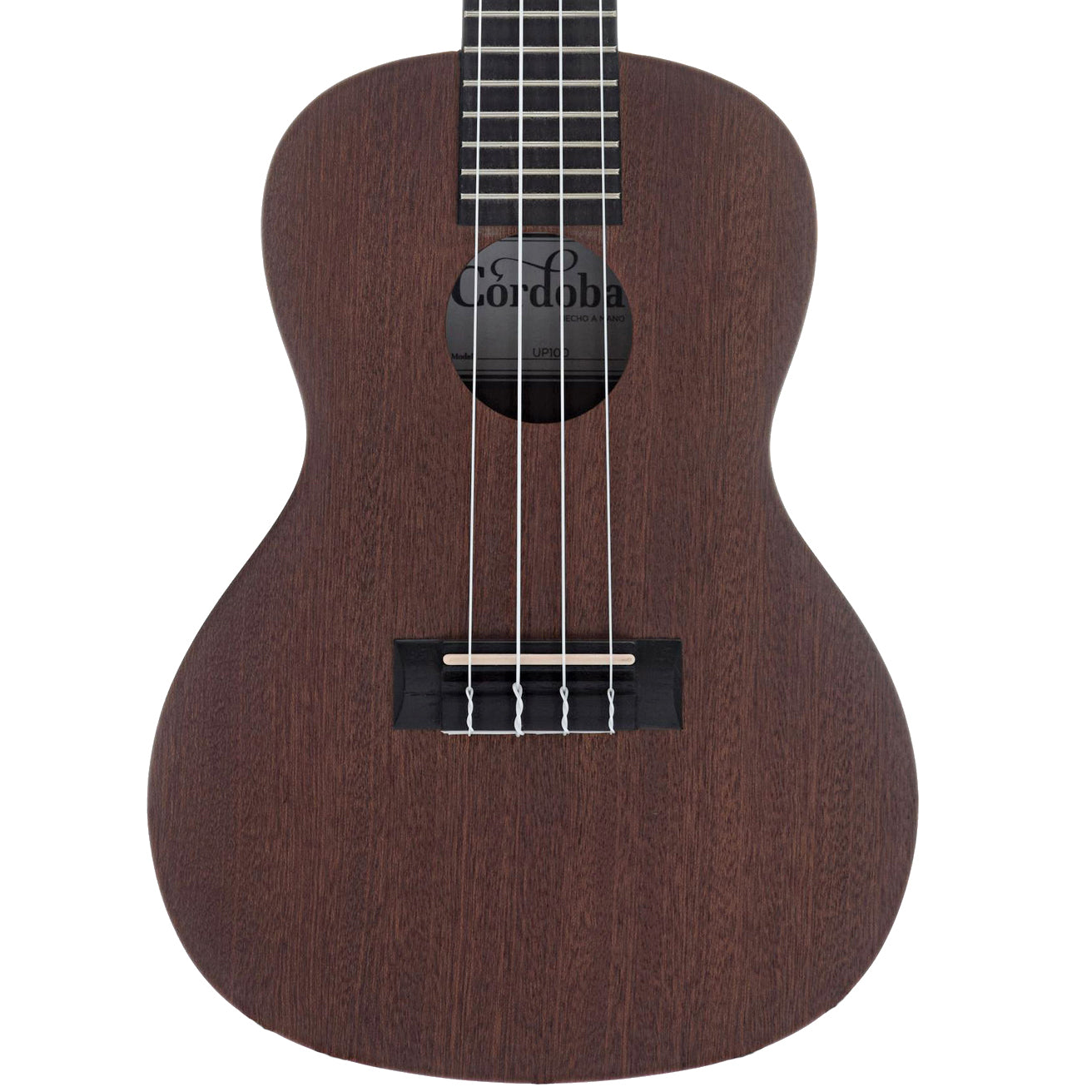 Front of Cordoba Concert Ukulele 