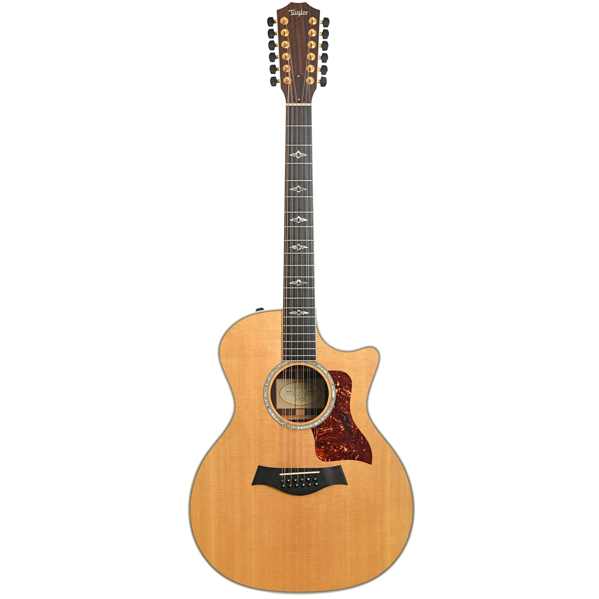 Full front of Taylor 854-CE 12-String Guitar