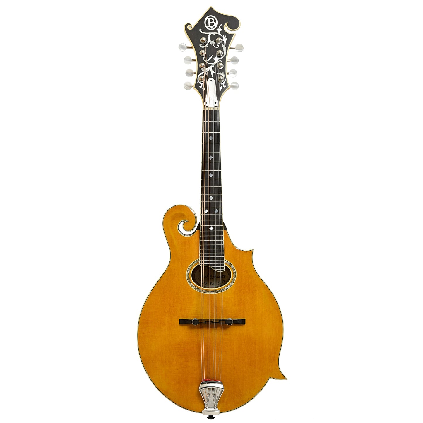 Full front of Bluett F-4 Mandolin