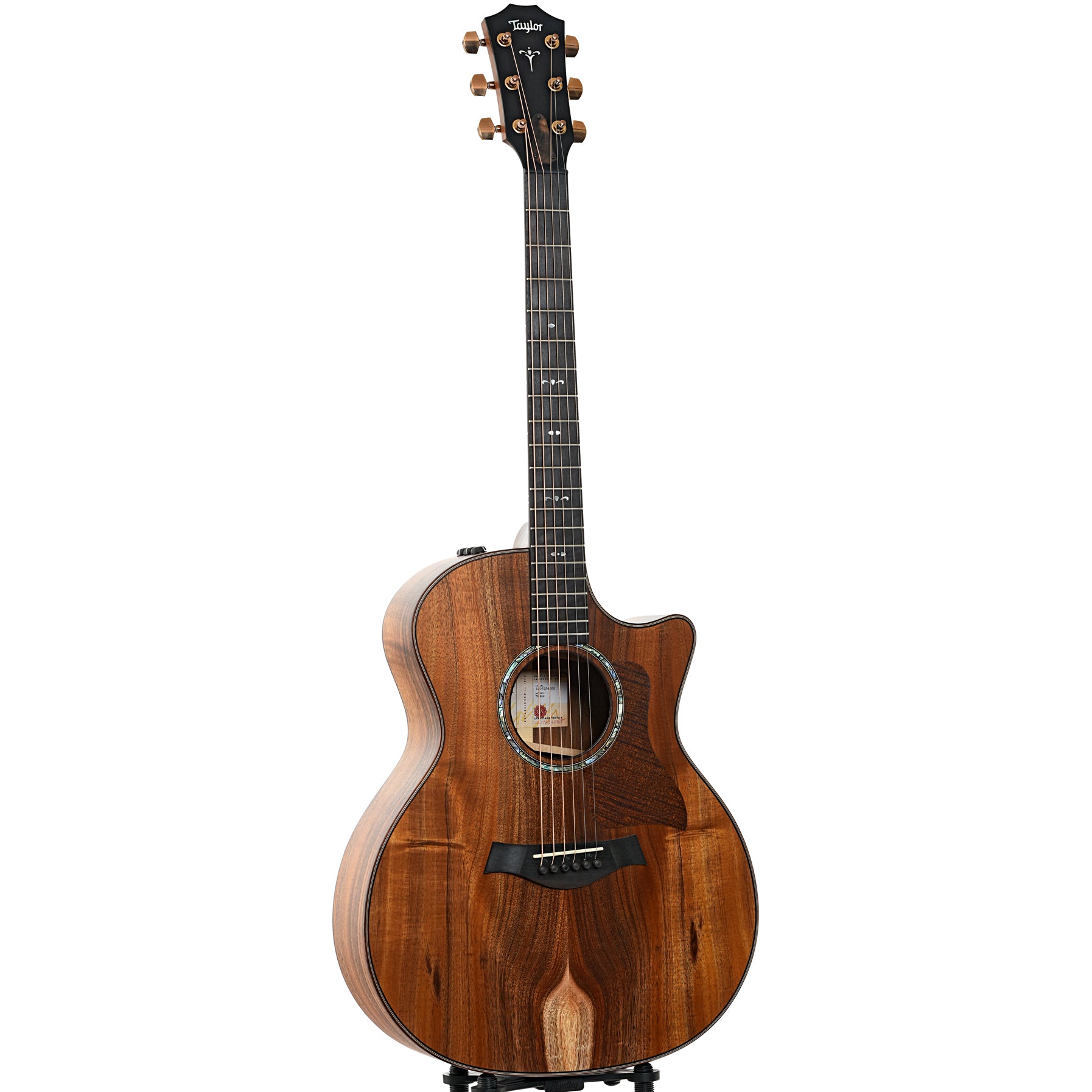 Taylor 724ce Acoustic Guitar Case Elderly Instruments