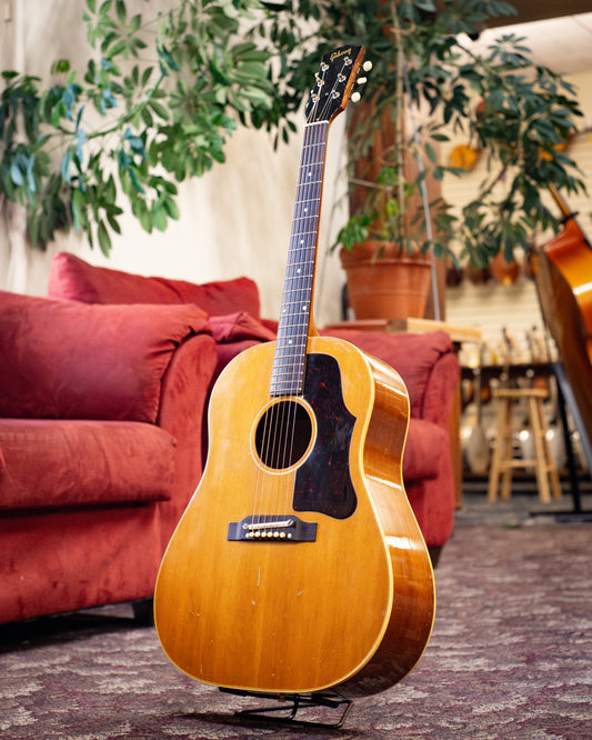 Showroom photo of Front of Gibson J-50 ADJ Acoustic Guitar (1959)