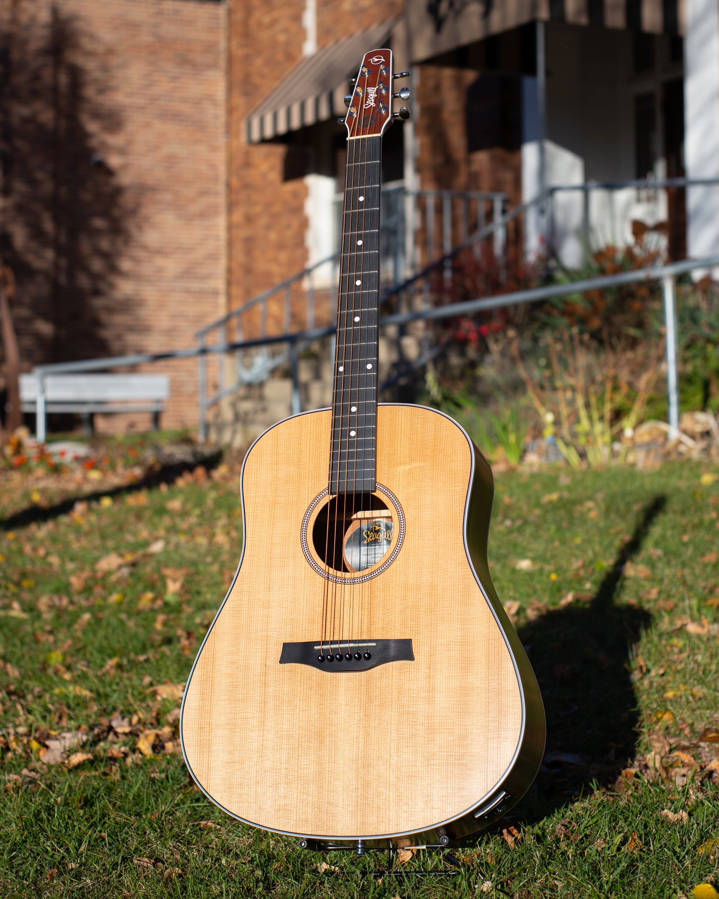 Showroom photo of Front of Seagull Maritime SWS Natural SG A/E Acoustic Guitar