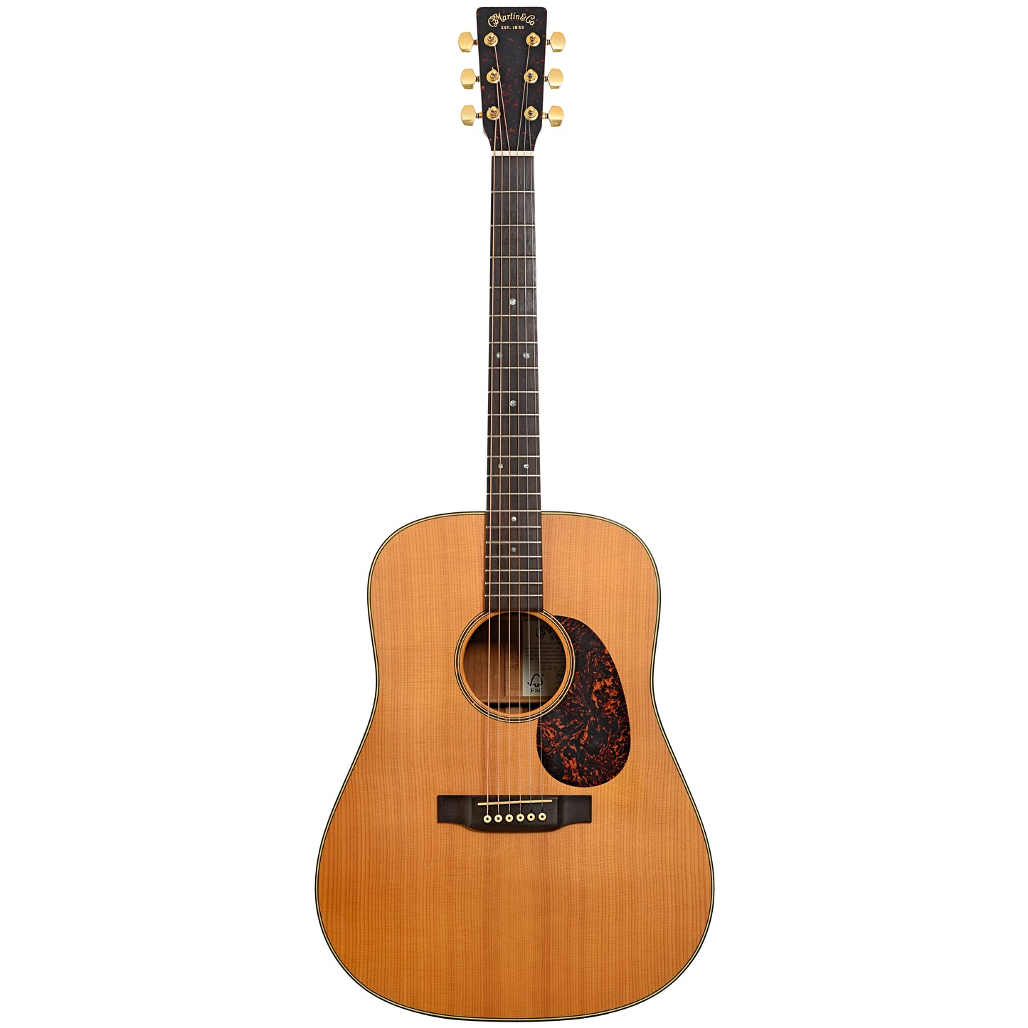 Full front of Martin SWD Acoustic Guitar 