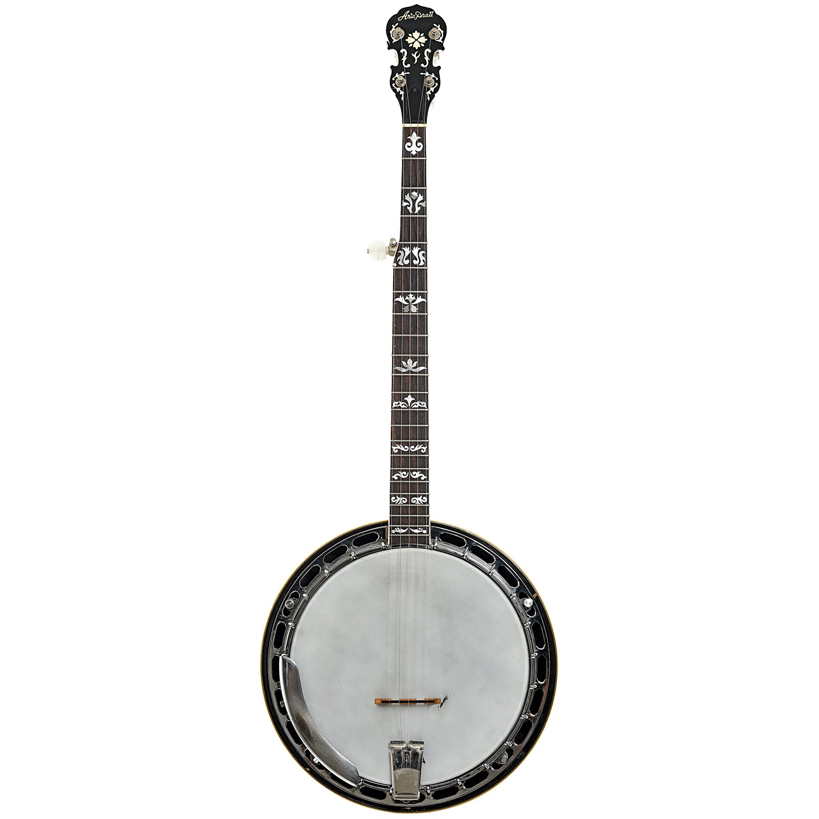 Full front of Aria Pro II Flying Eagle Resonator Banjo