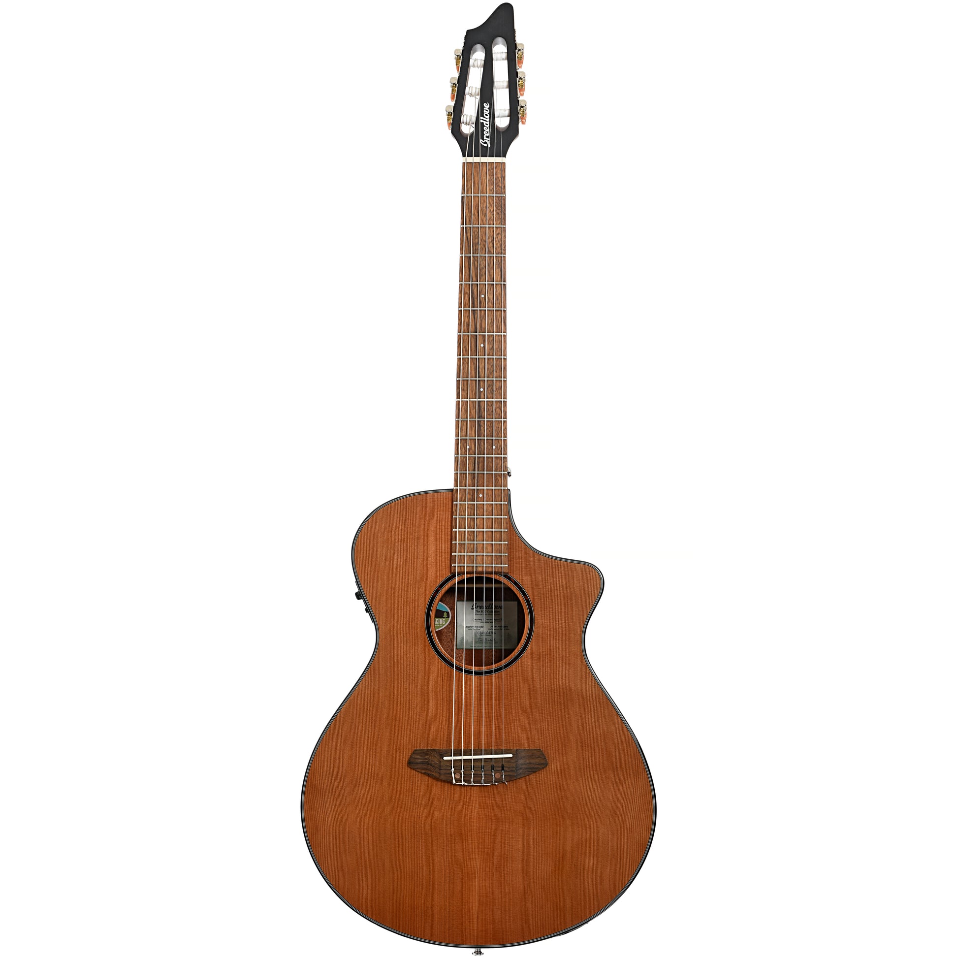 Full front of Breedlove Discovery Concert S Nylon CE (2024)