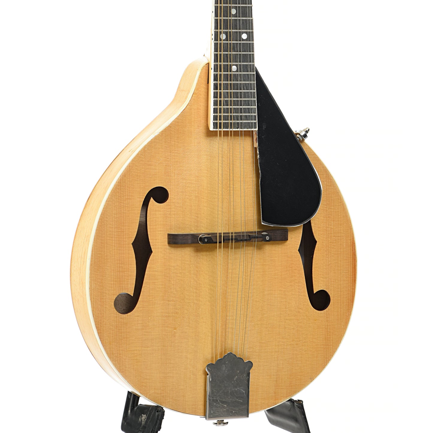 Front and side of Jordan L. Buck A-Style Kit Mandolin (2024)